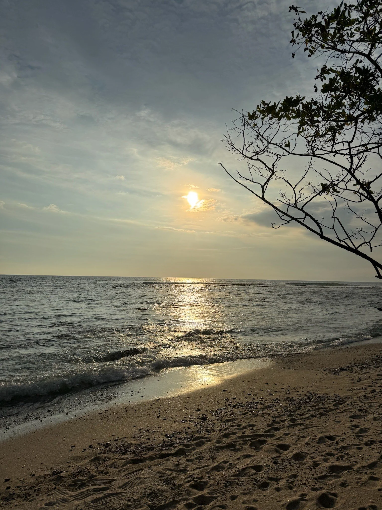 Sunset over the ocean with a cloudy sky and a tree on the right side, sandy beach in the foreground.
