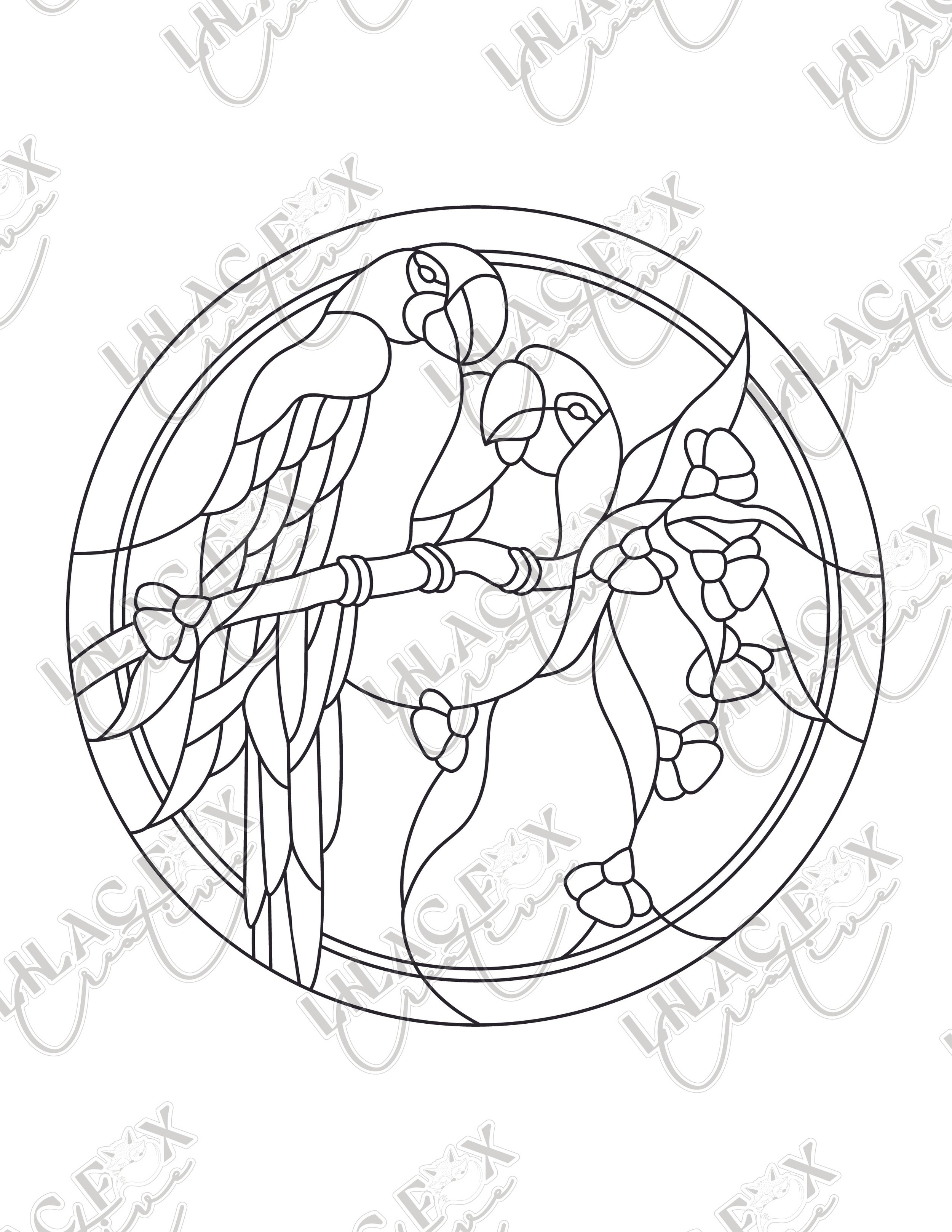 Preview_Parrots.jpg
