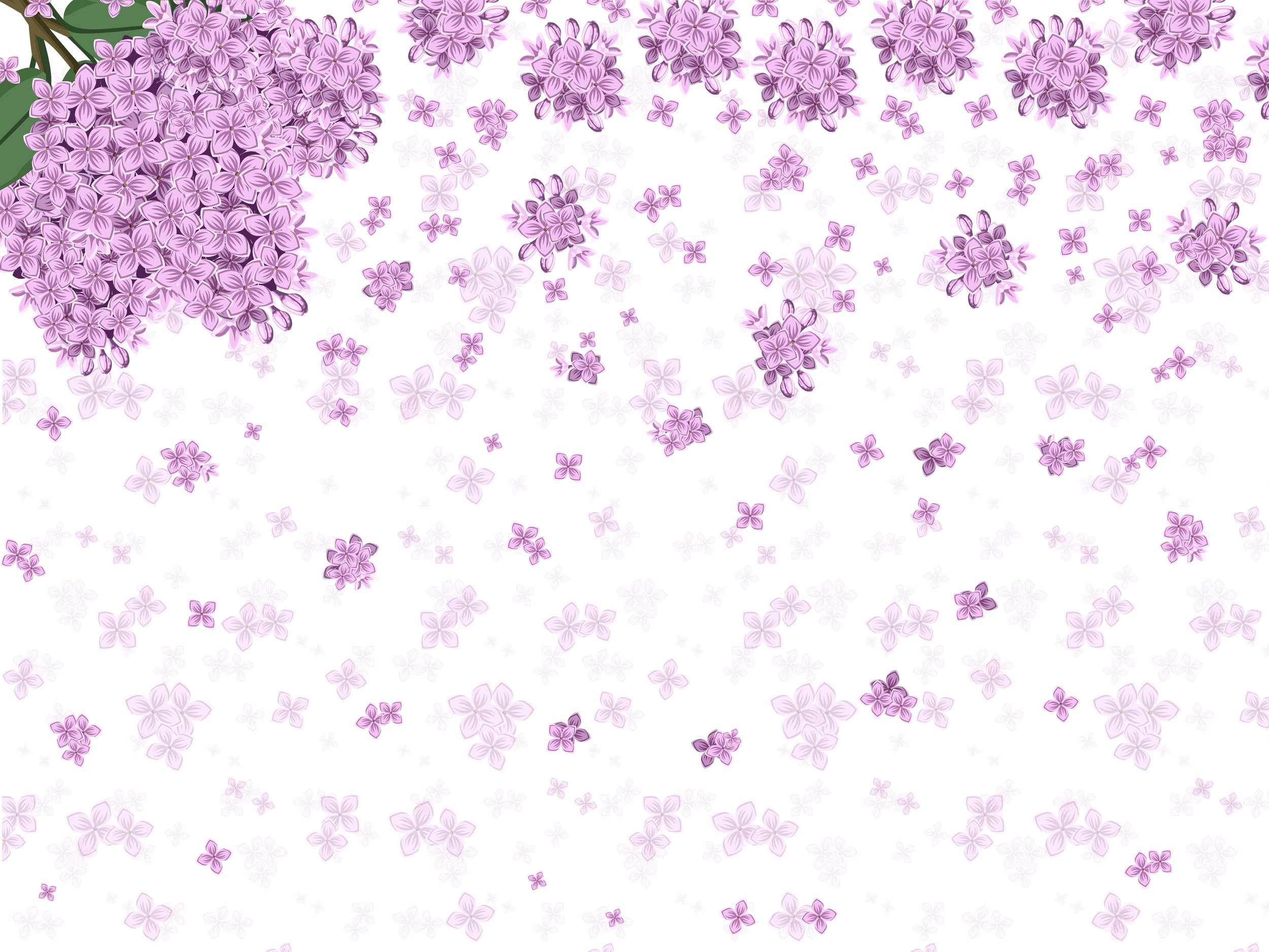 About — Lilac Fox Creative