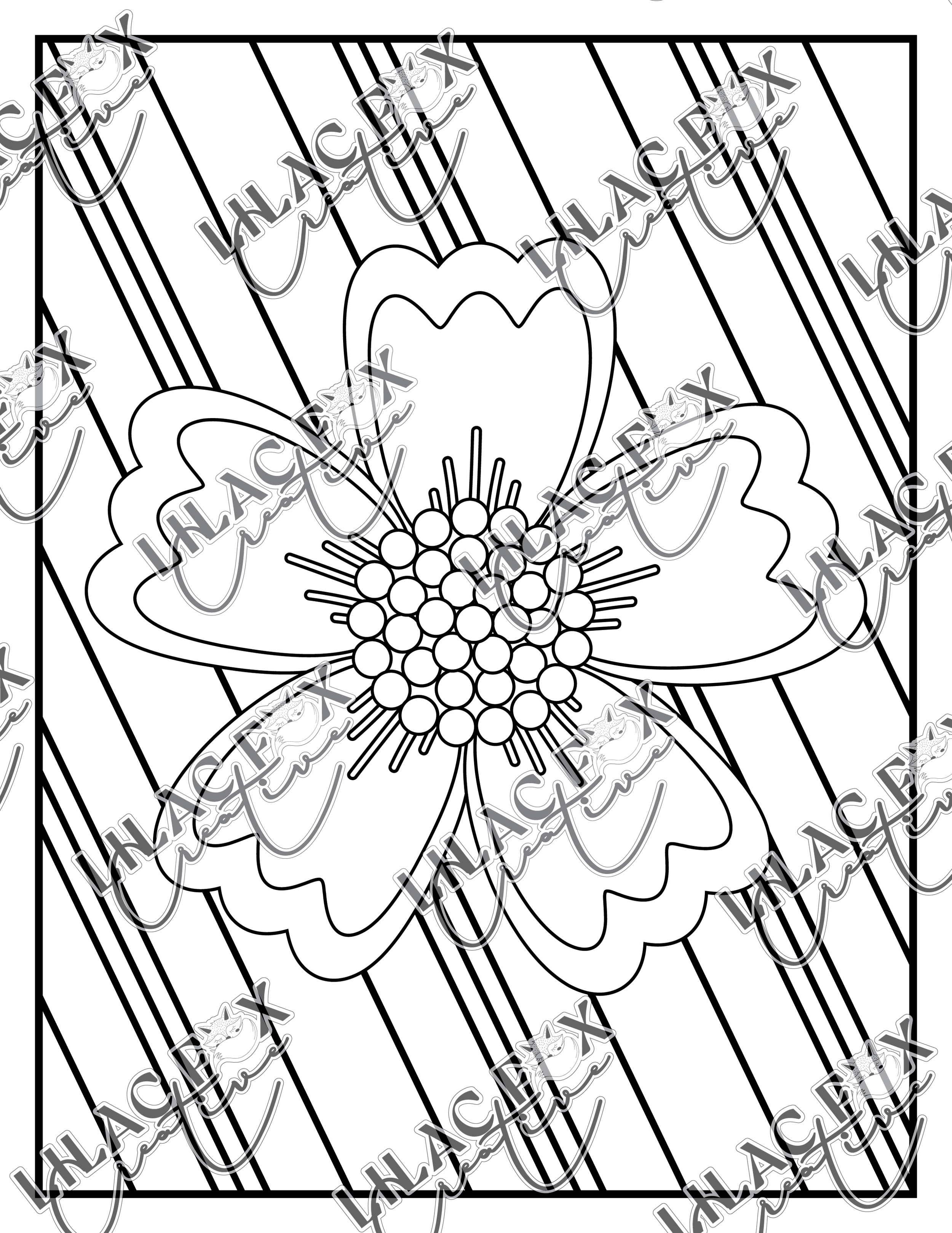 Preview_5.png (Copy)