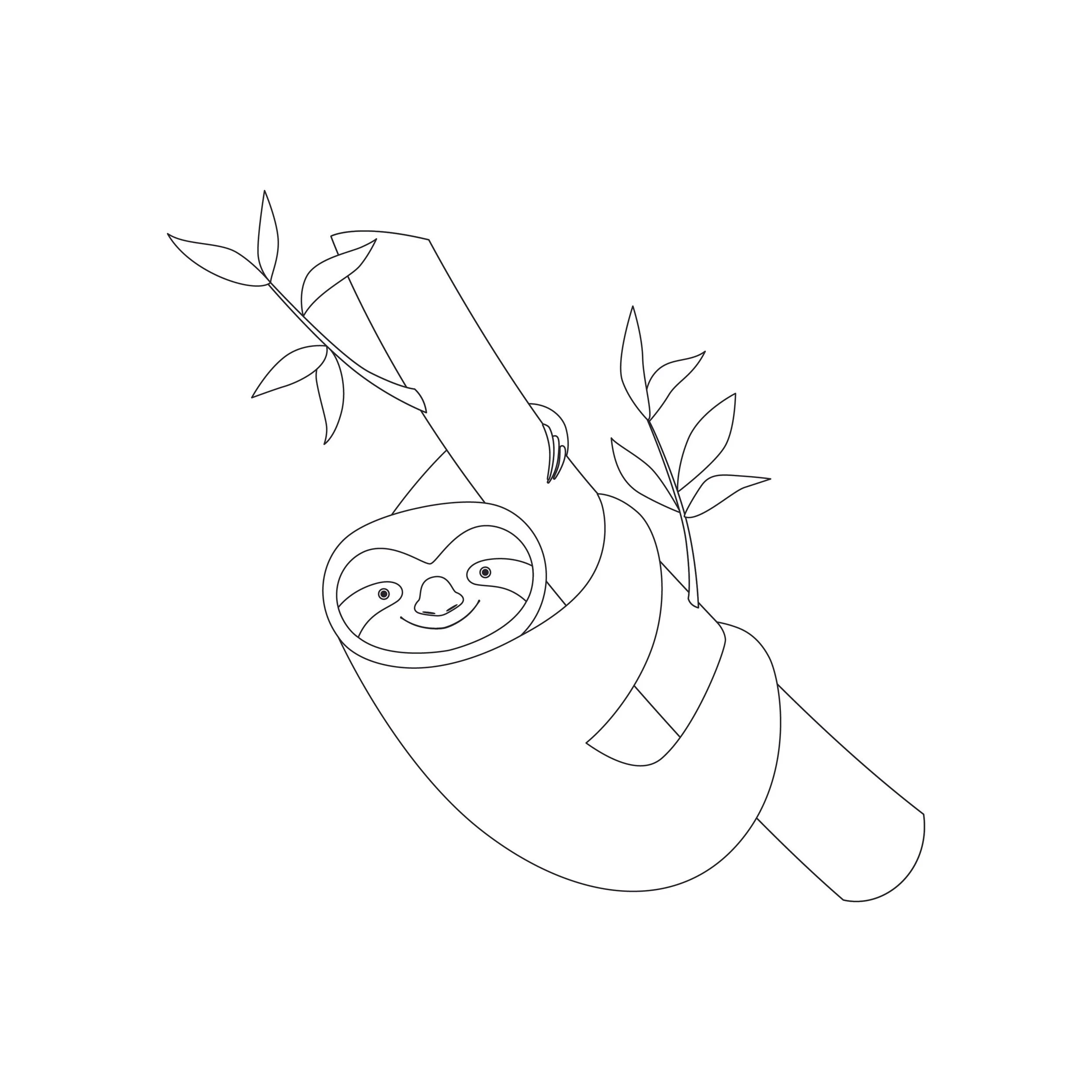 Sloths_Cover.jpg (Copy)