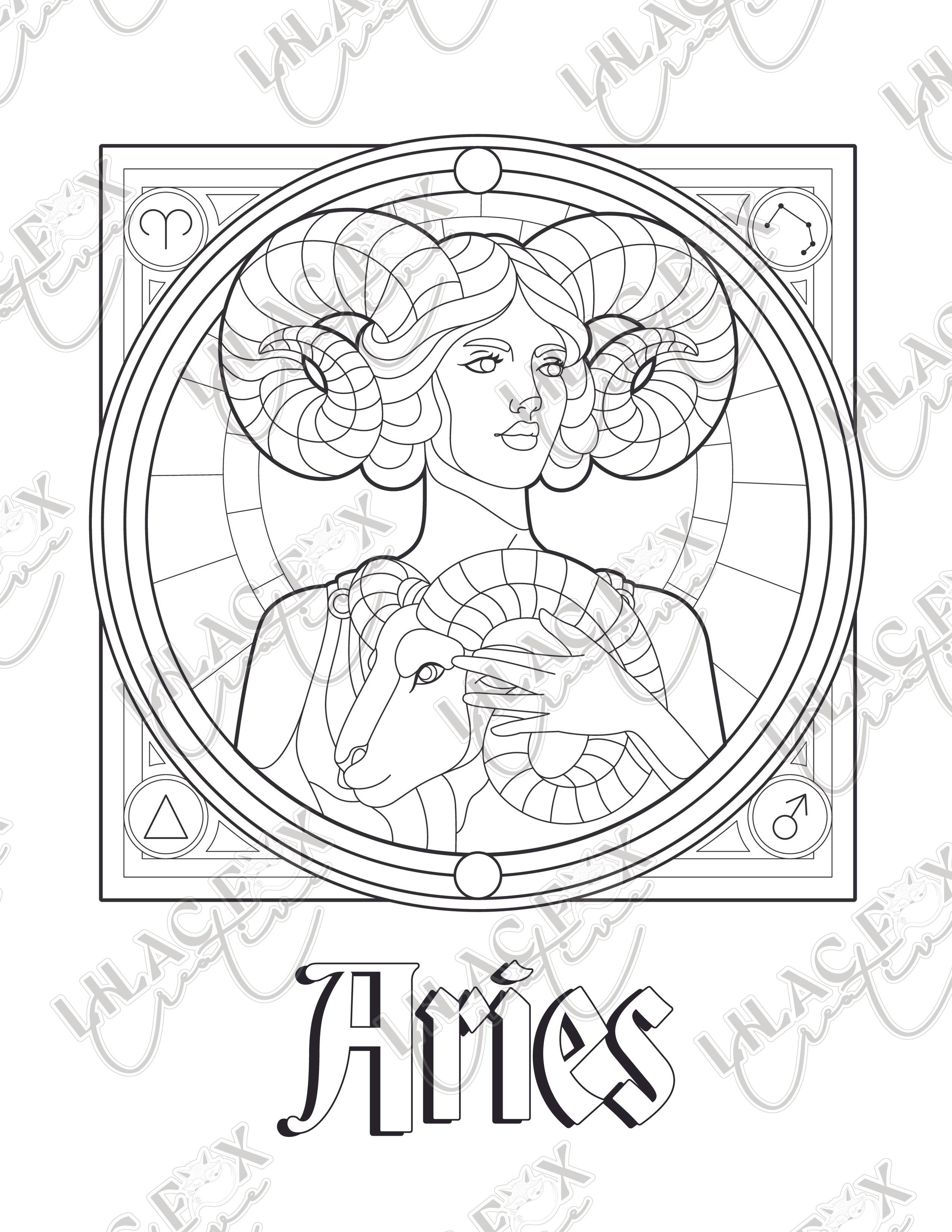 Preview_Aries.jpg