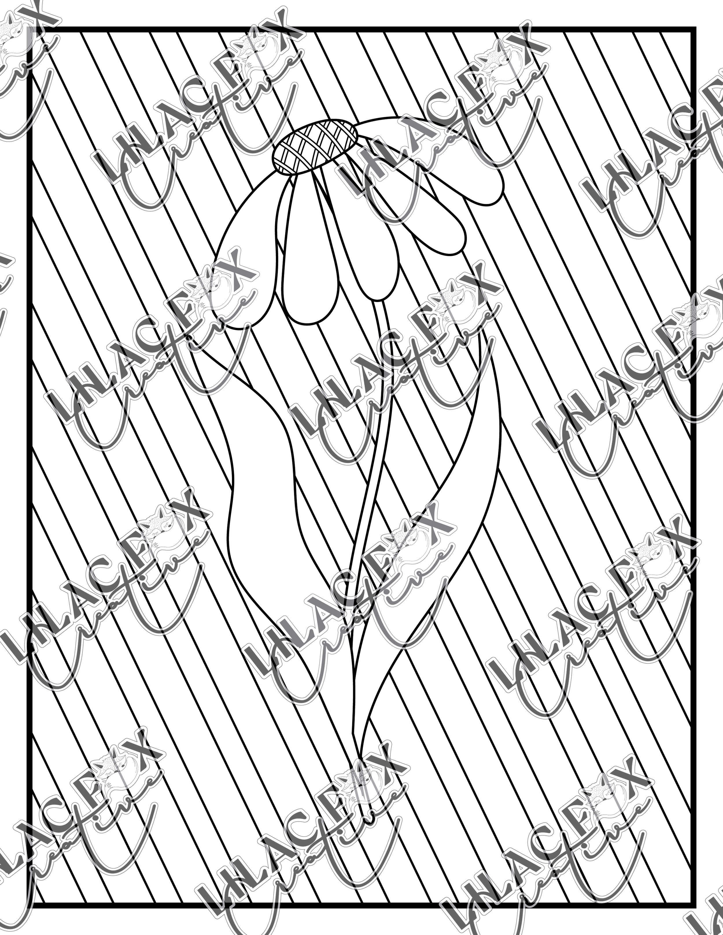 Preview_2.png (Copy)