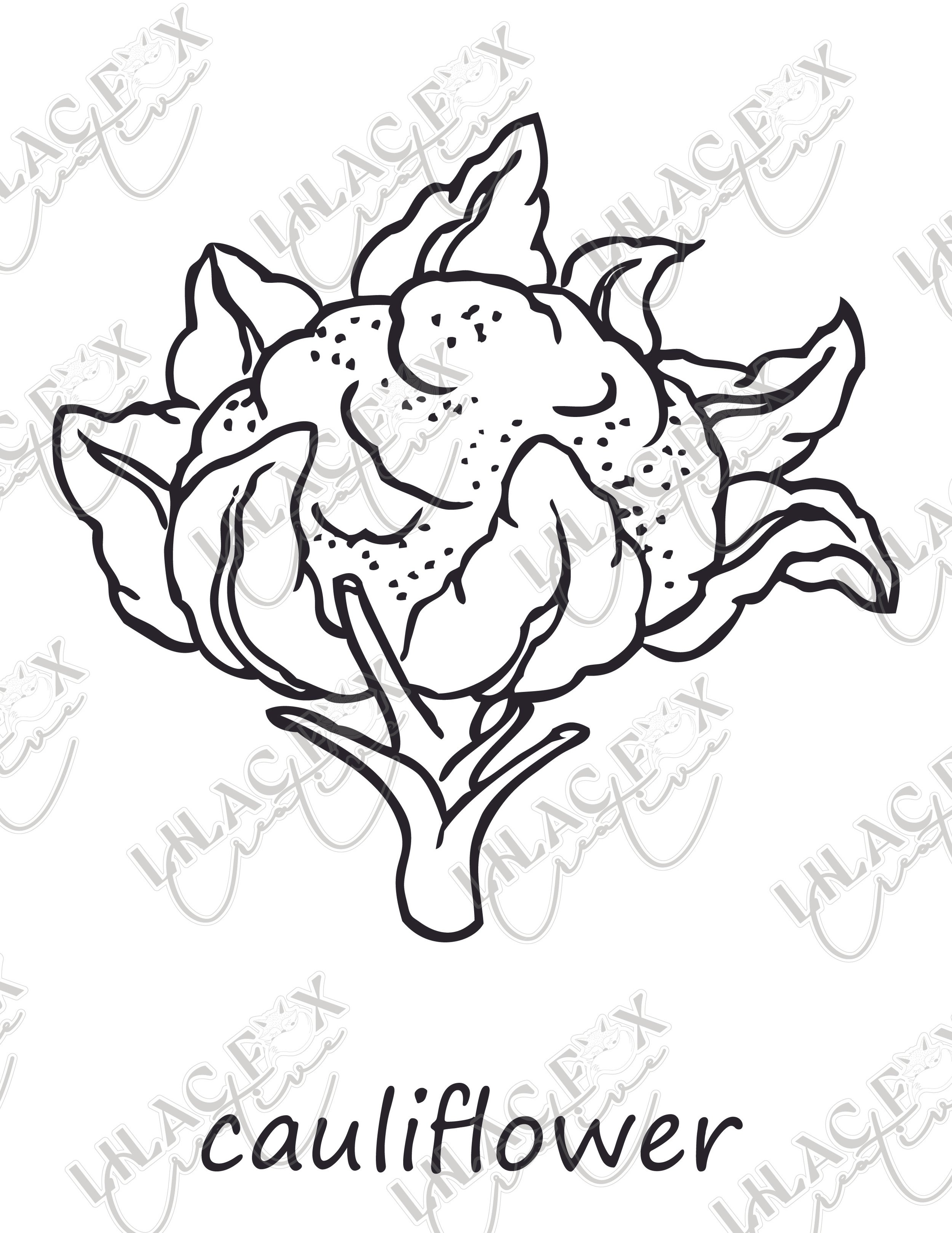 Preview_Cauliflower.jpg