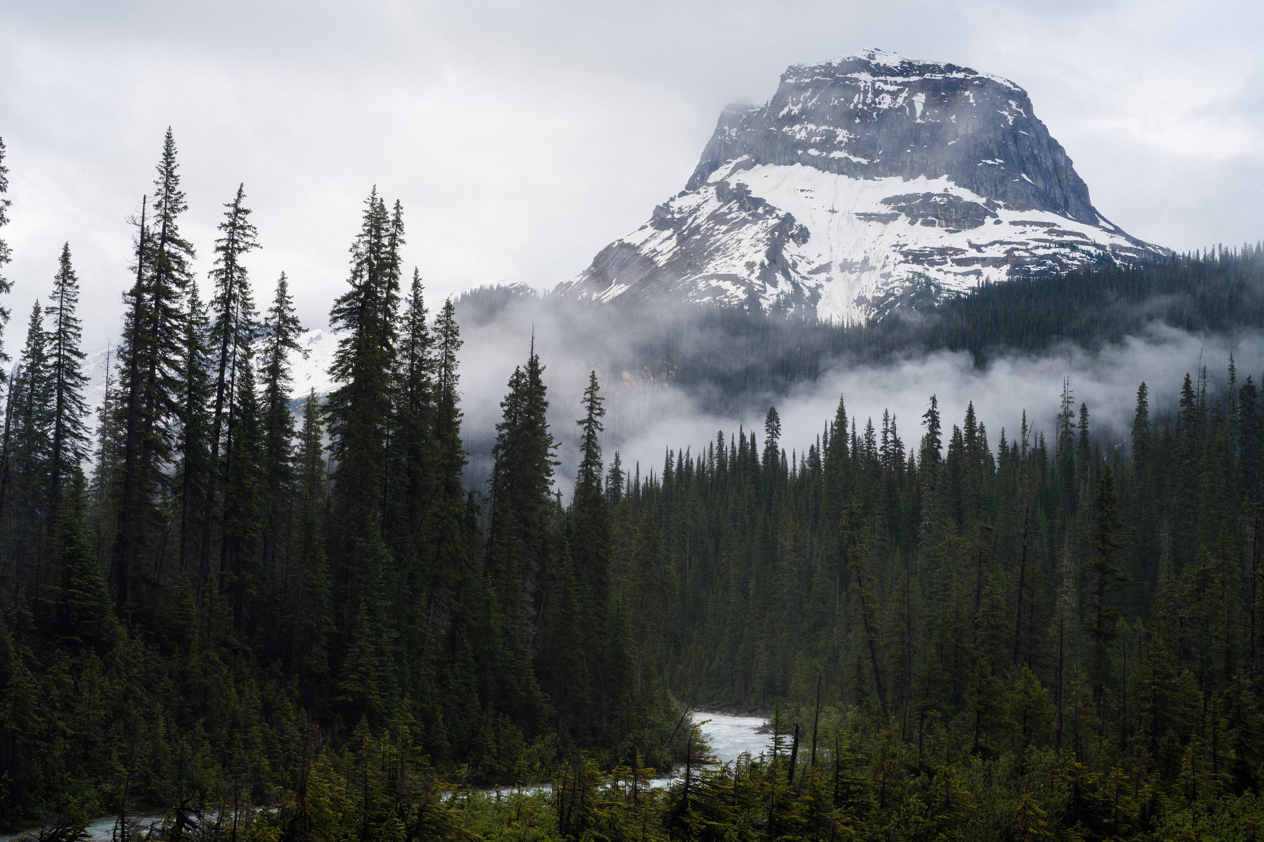 A mountain with snowy peaks and rock formations, surrounded by a dense forest of tall pine trees, with fog or low clouds in the air.