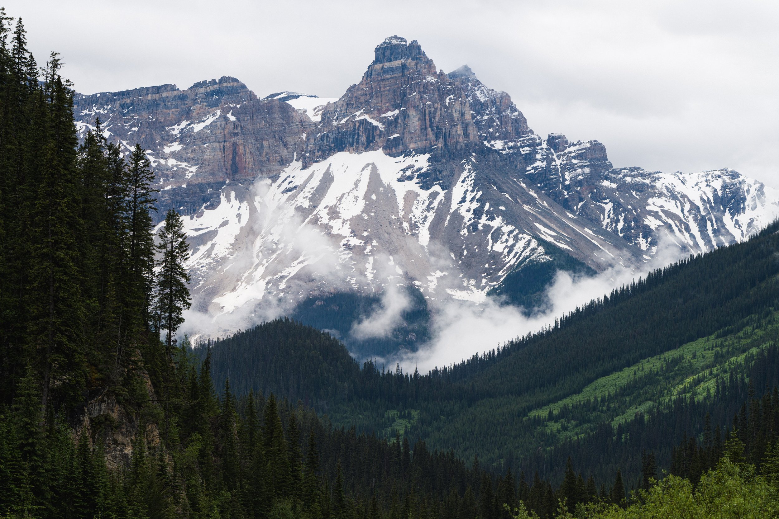 Snow-capped mountains in the background with dense green forested slopes in the foreground, cloudy sky overhead.