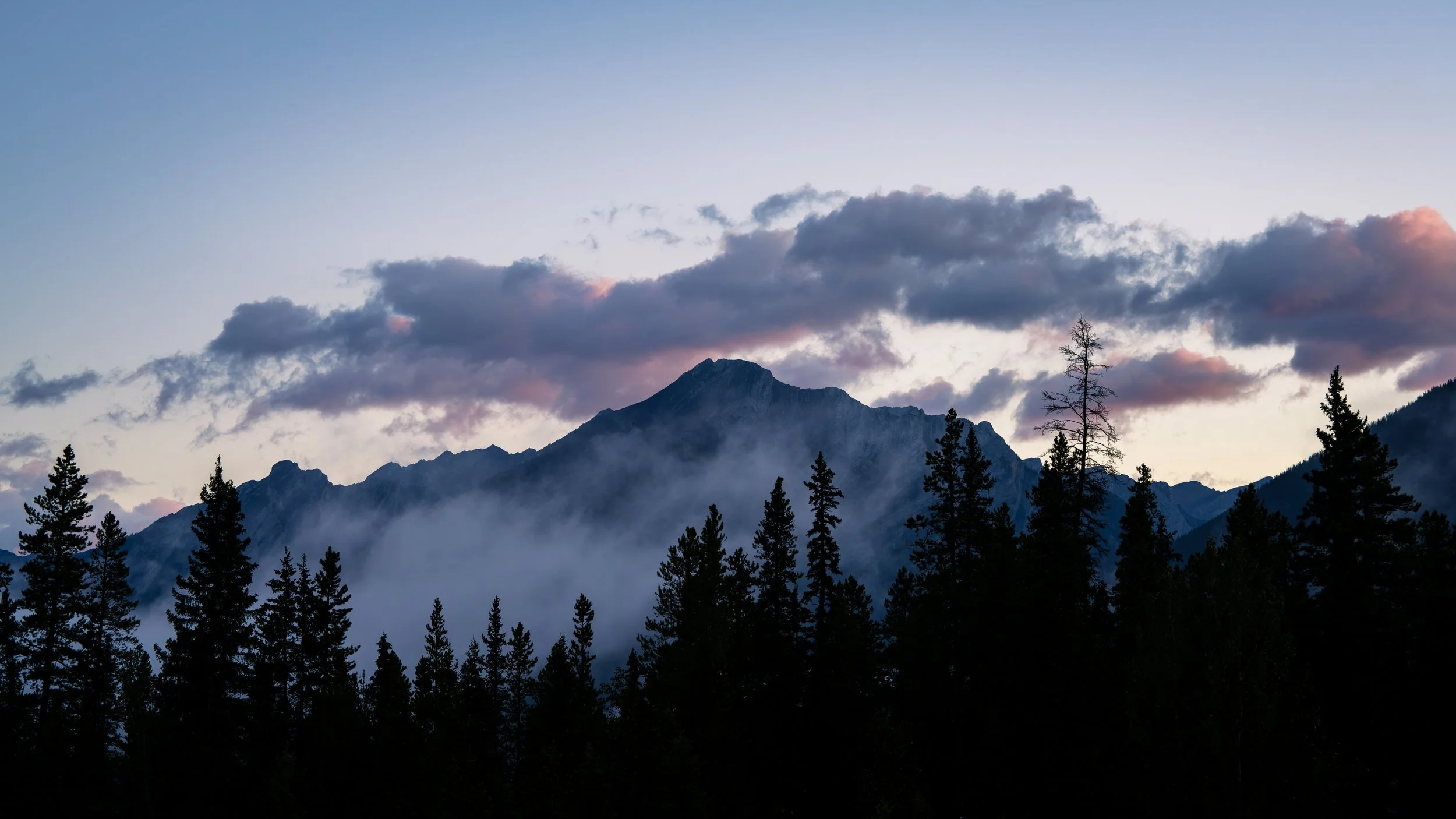 Mountain landscape with pine trees in foreground, mist around the mountain, and a partially cloudy sky during sunrise.