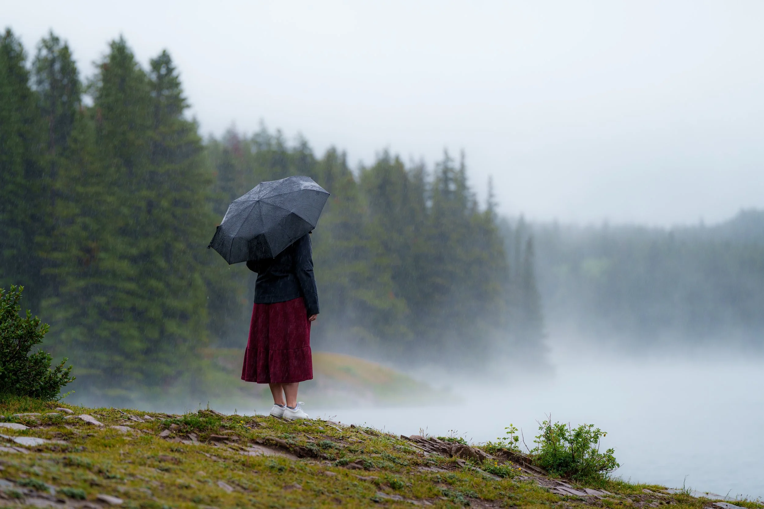 Person holding a black umbrella on a rainy day near a foggy lake with green trees in the background.