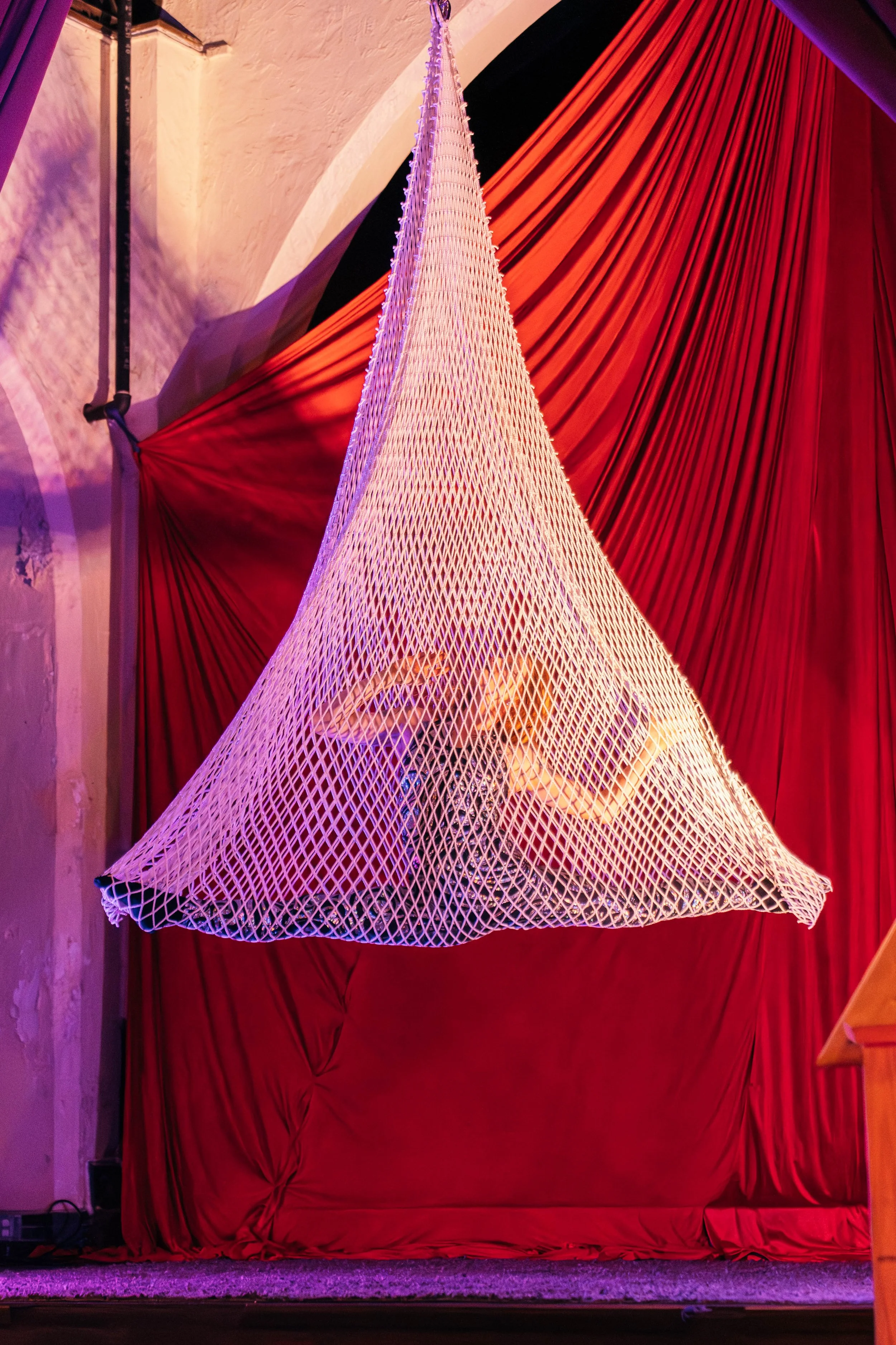 Aerial Net