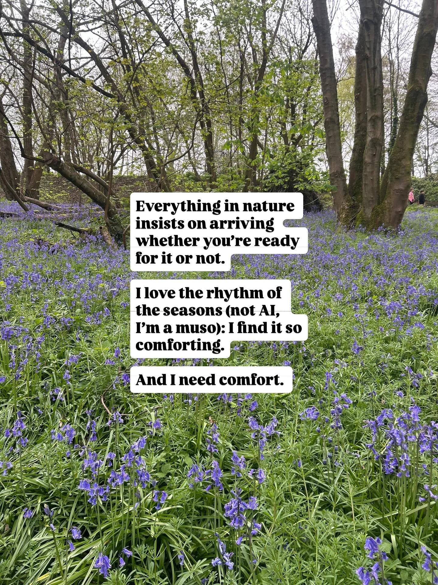 Come and sow something with us.

Four days, completely free, no obligation.

Good thinking, warm company, the relief of realising you&rsquo;re not the only one and that your ideas and vision matters.

Comment SPARK to get the sign up link my love x

