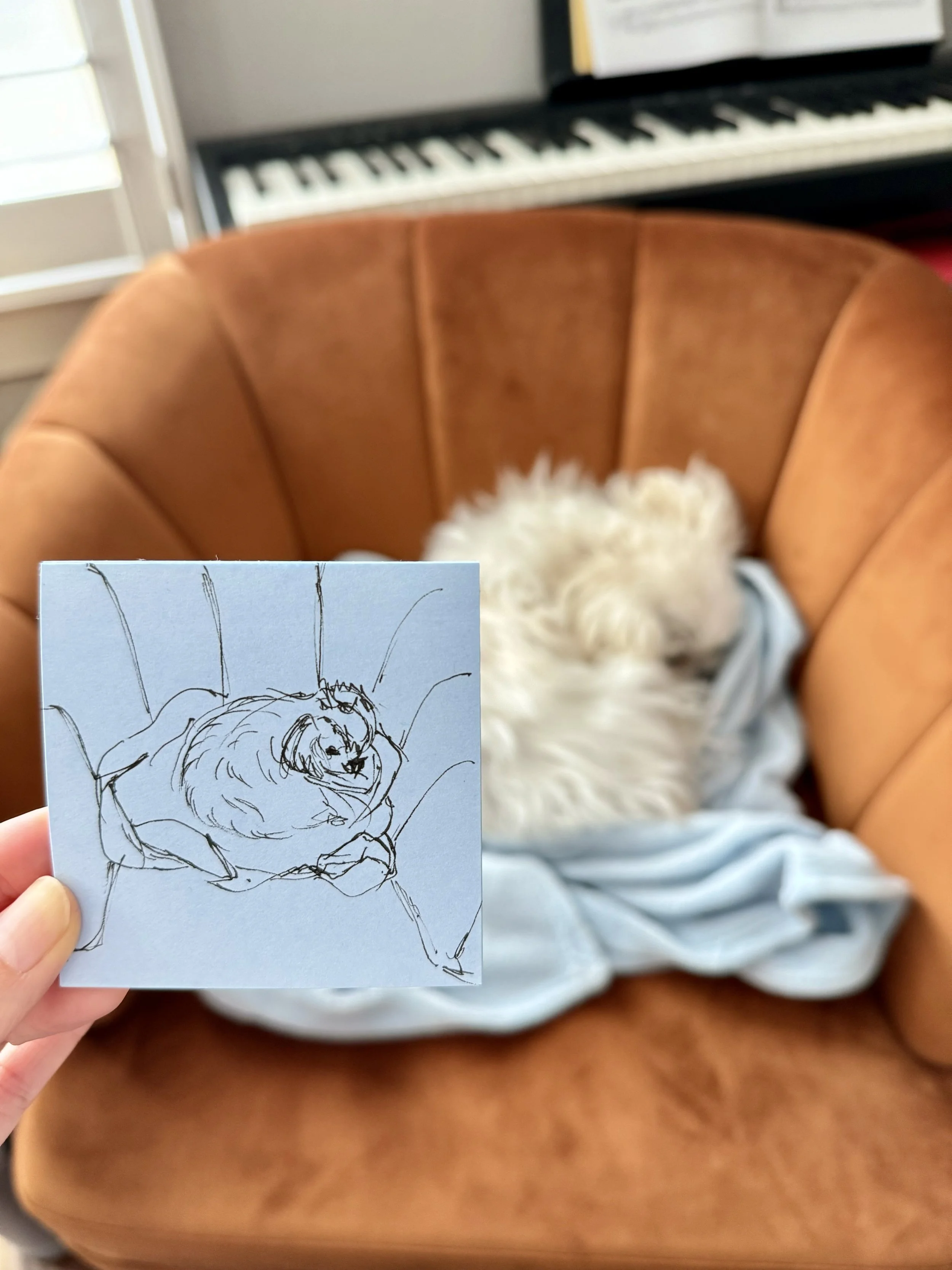 Sketch of Maru