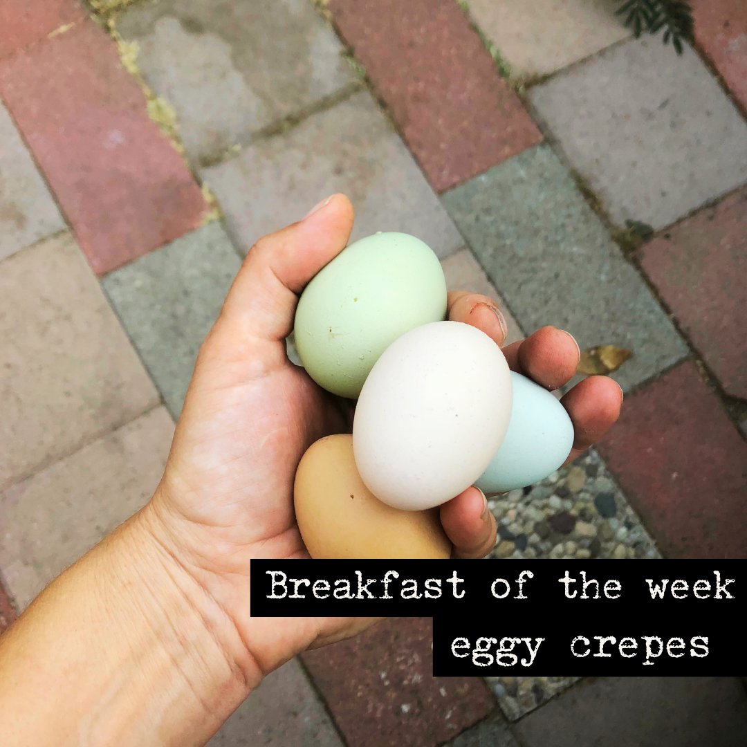 Breakfast of the week