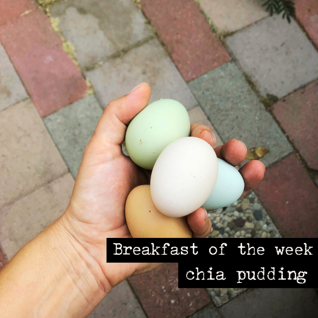 Breakfast of the week