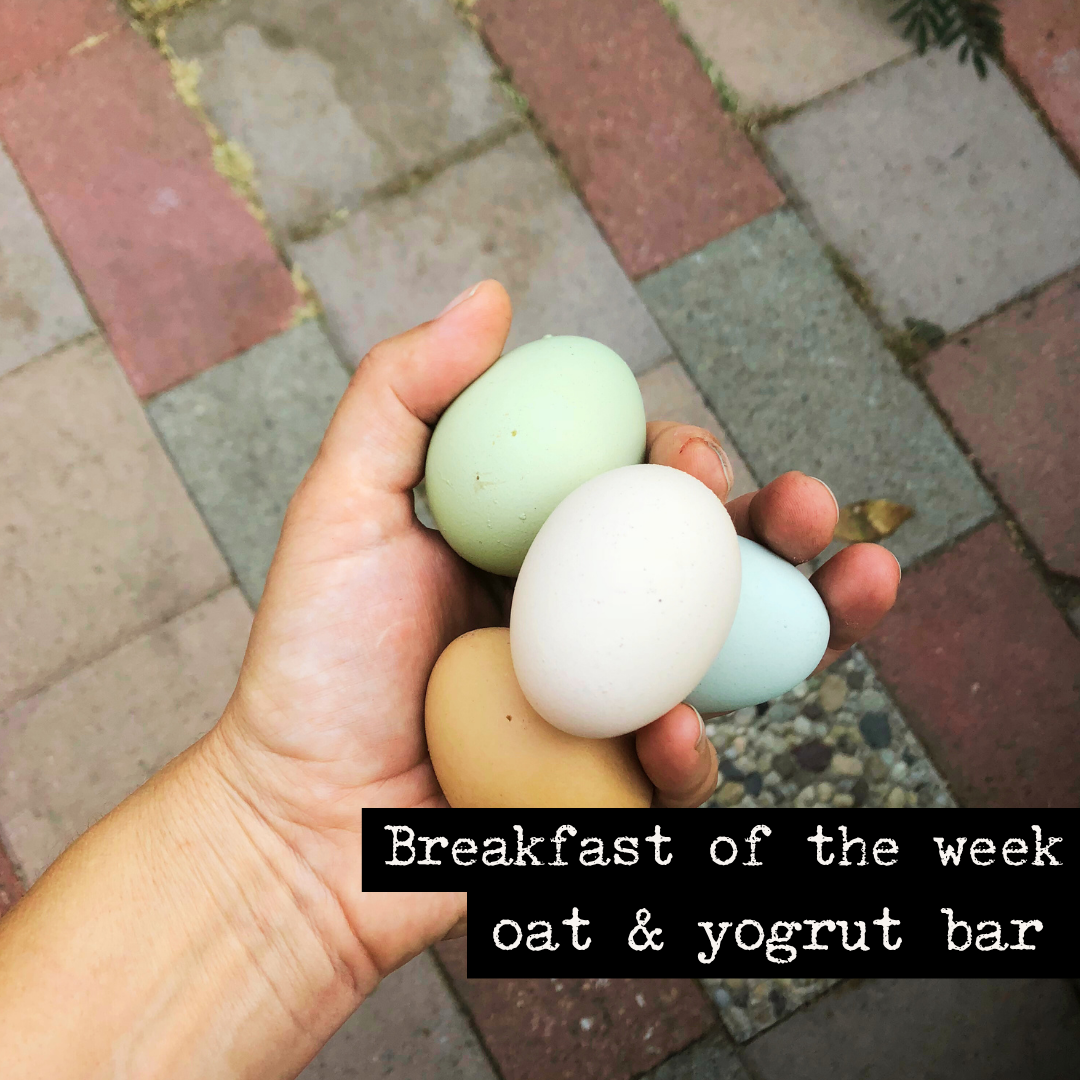 Breakfast of the week