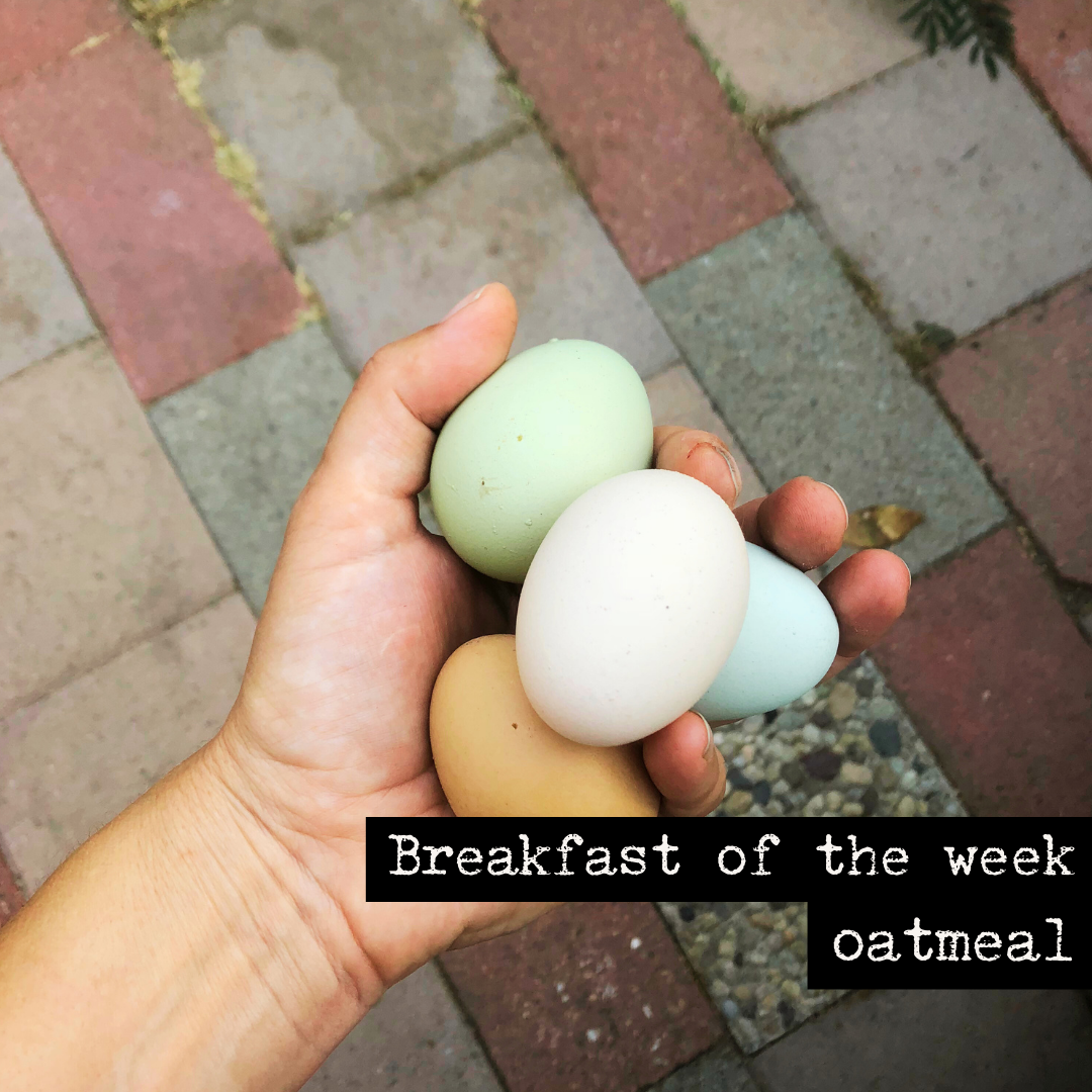 Breakfast of the week