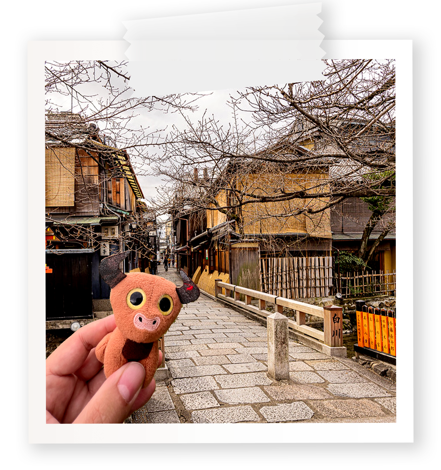 Mumu en el Canal Shirakawa