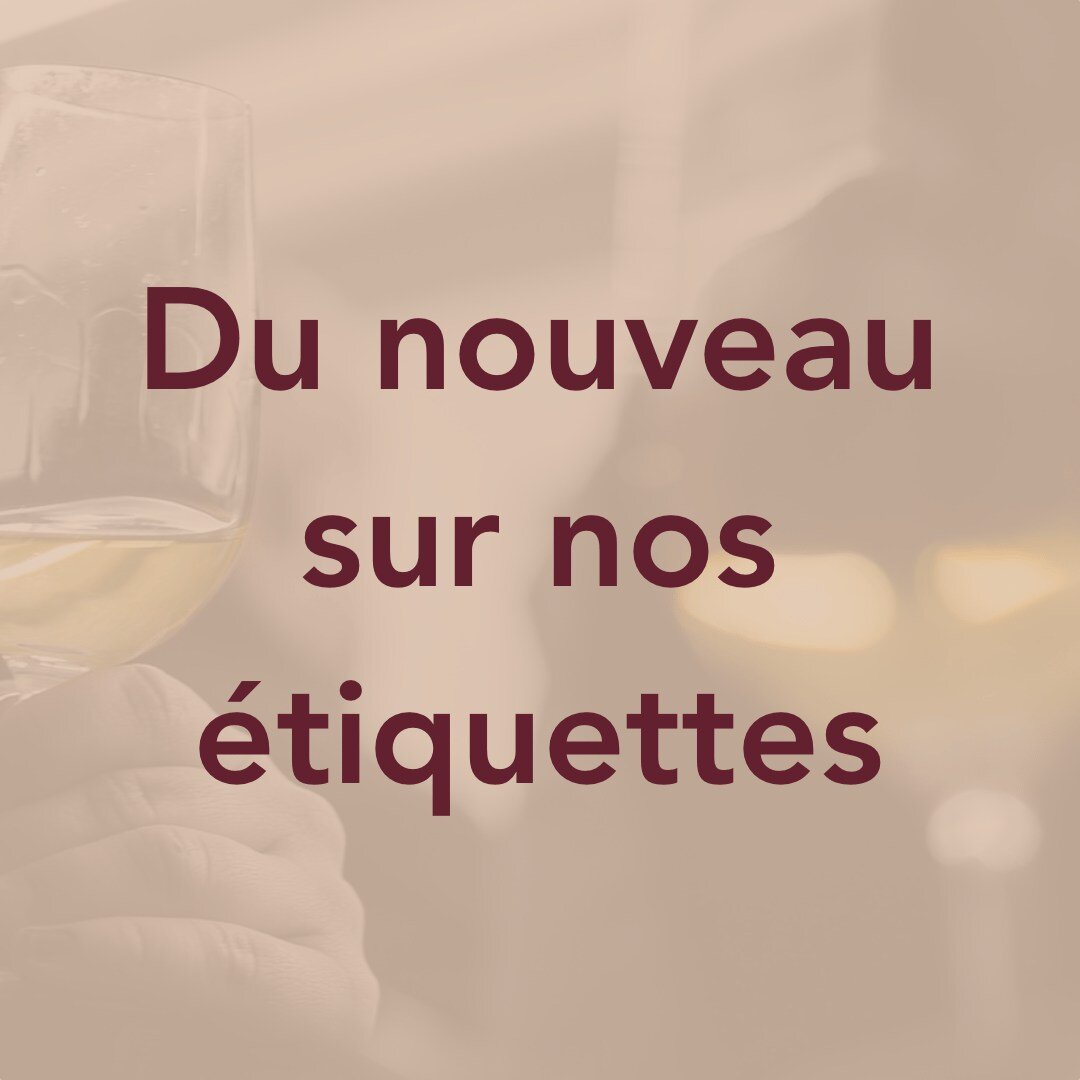 Une touche de nouveaut&eacute; arrive sur nos &eacute;tiquettes ✨

#wine #winelover #winetasting #marketingduvin #conseils #vinelies #etiquette #vin