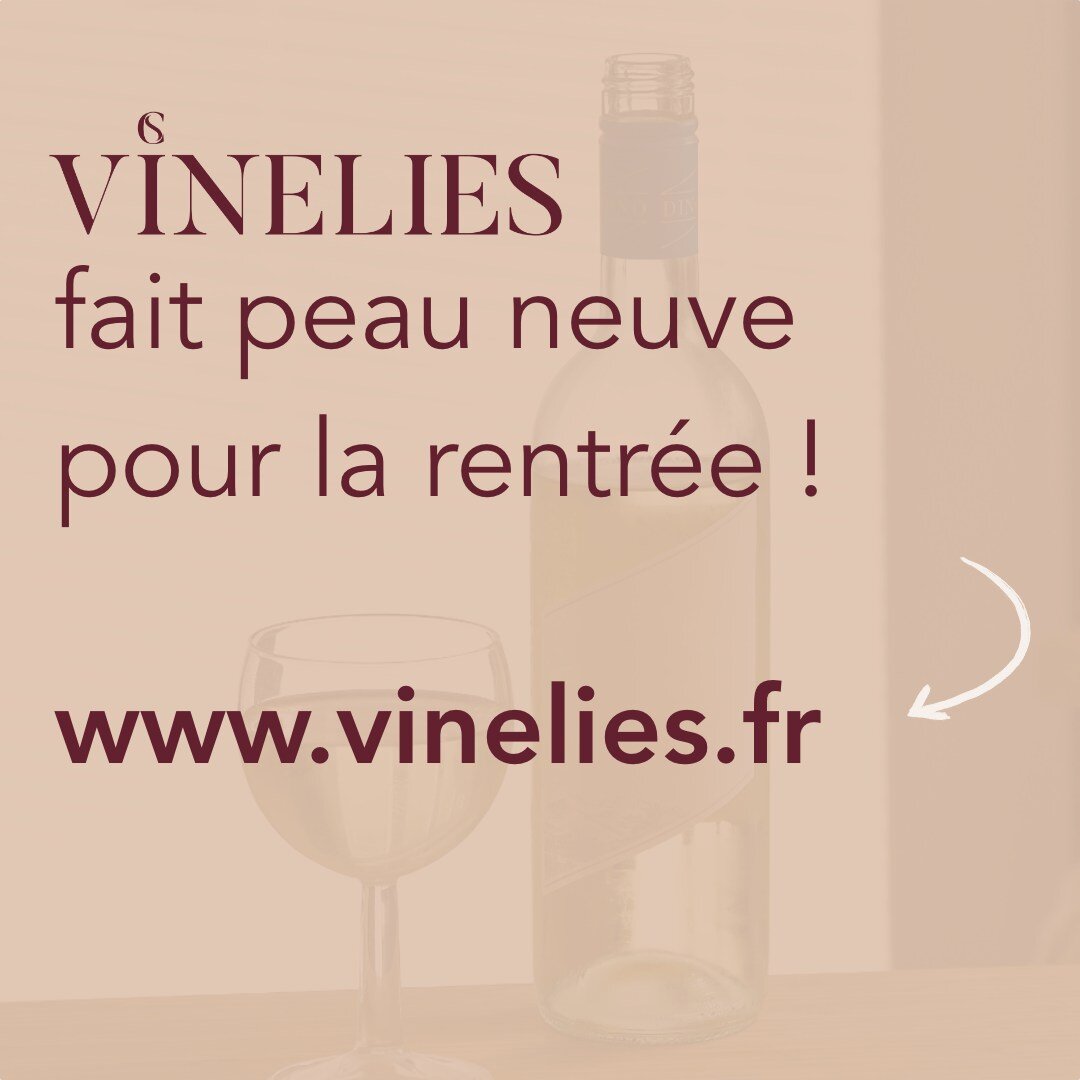 C&rsquo;est la rentr&eacute;e ! 📚👨&zwj;💻
Pour une ann&eacute;e sous les meilleurs hospices, nous sommes l&agrave; pour vous accompagner dans tous vos projets ! 🌟🍇🍷✨🎯

👉 www.vinelies.fr
👉 contact@vinelies.fr

#wine #winelover #winetasting #ma