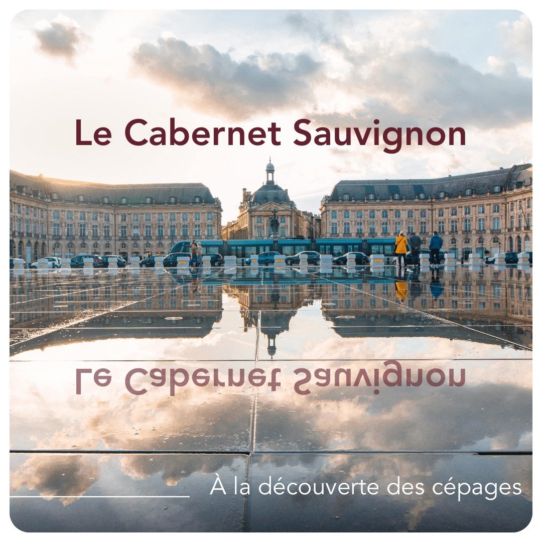 Saviez-vous que le Cabernet Sauvignon est l'un des c&eacute;pages les plus c&eacute;l&egrave;bres au monde ? 
Originaire de la r&eacute;gion de Bordeaux, on l&rsquo;appr&eacute;cie pour ses ar&ocirc;mes intenses de cassis, de poivre vert et de c&egra