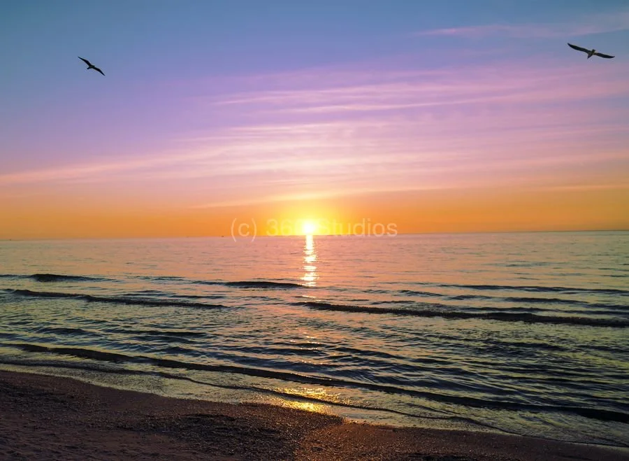 900_1North_Soaring_at_Sunset_Marco_Island.jpg