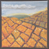 Natures Tapestry.png