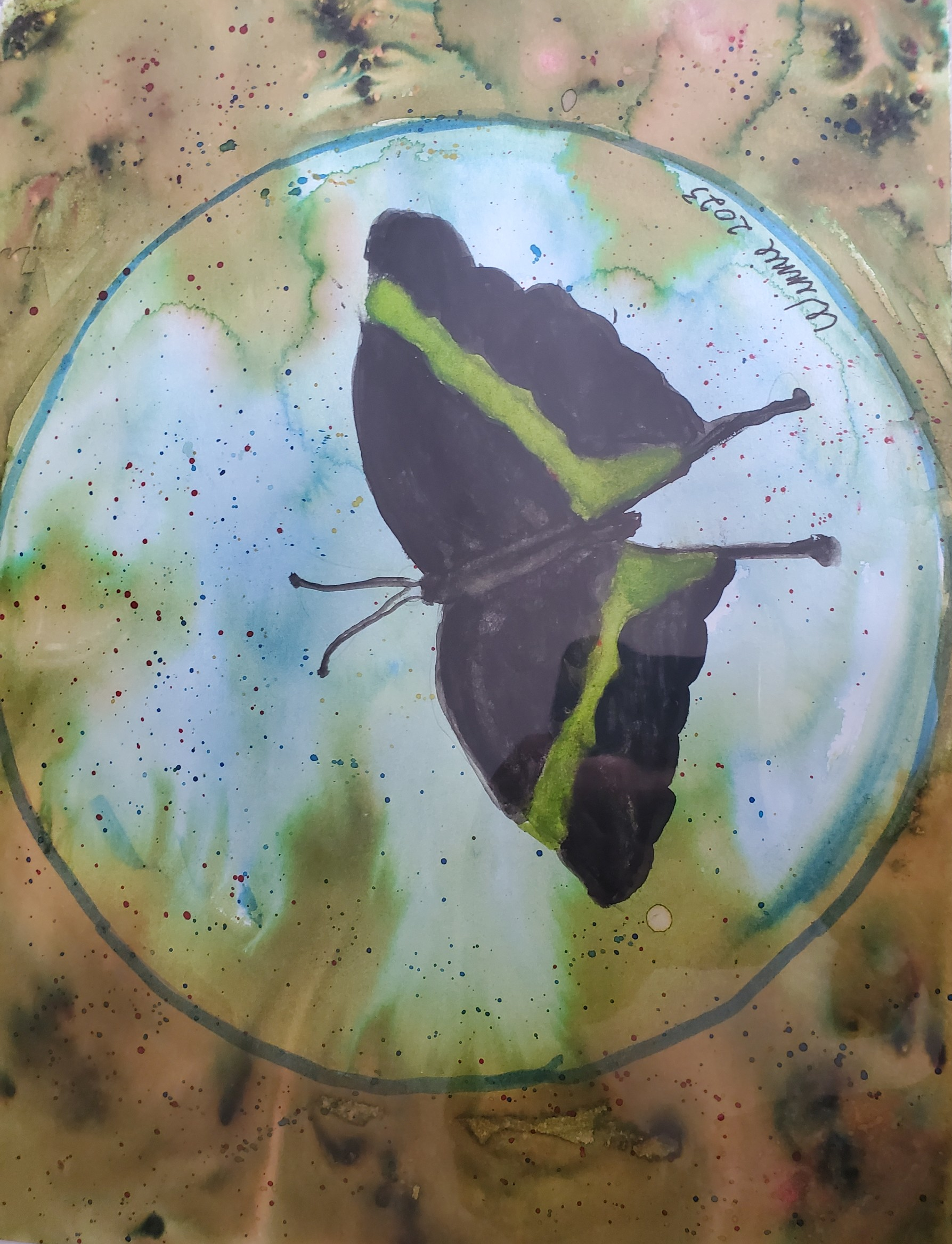 Emerald Swallowtial Butterfly crop.png