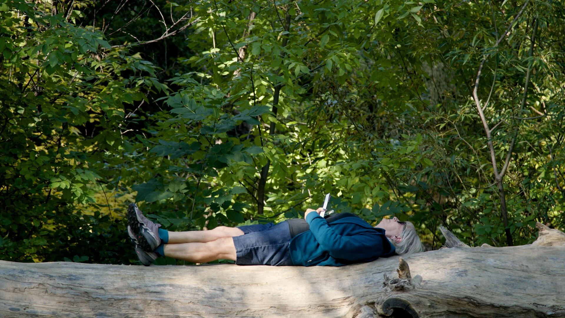Seniors practice forest bathing for better mental health / RMPBS
