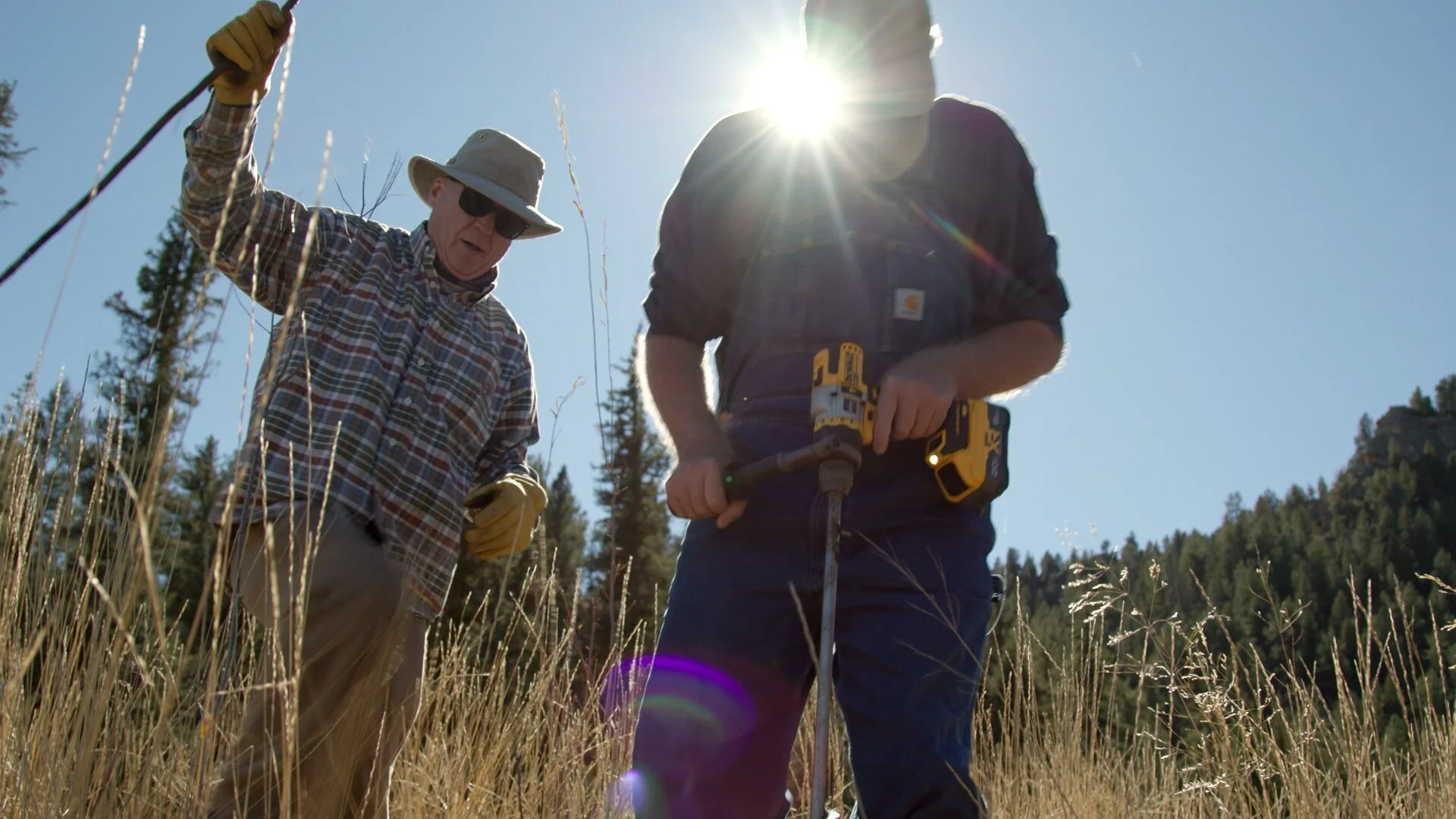 Willow trees to stabilize river after dam removal / RMPBS