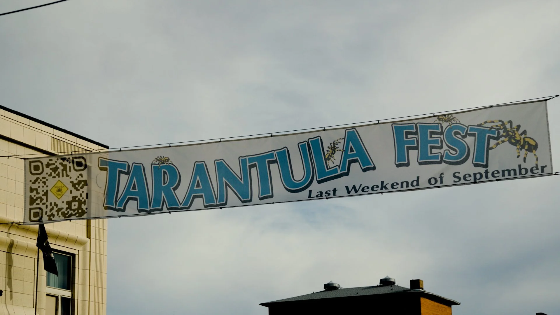 Tarantulas bring tourism to rural La Junta / RMPBS