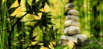 One, Two, Wellness</span>