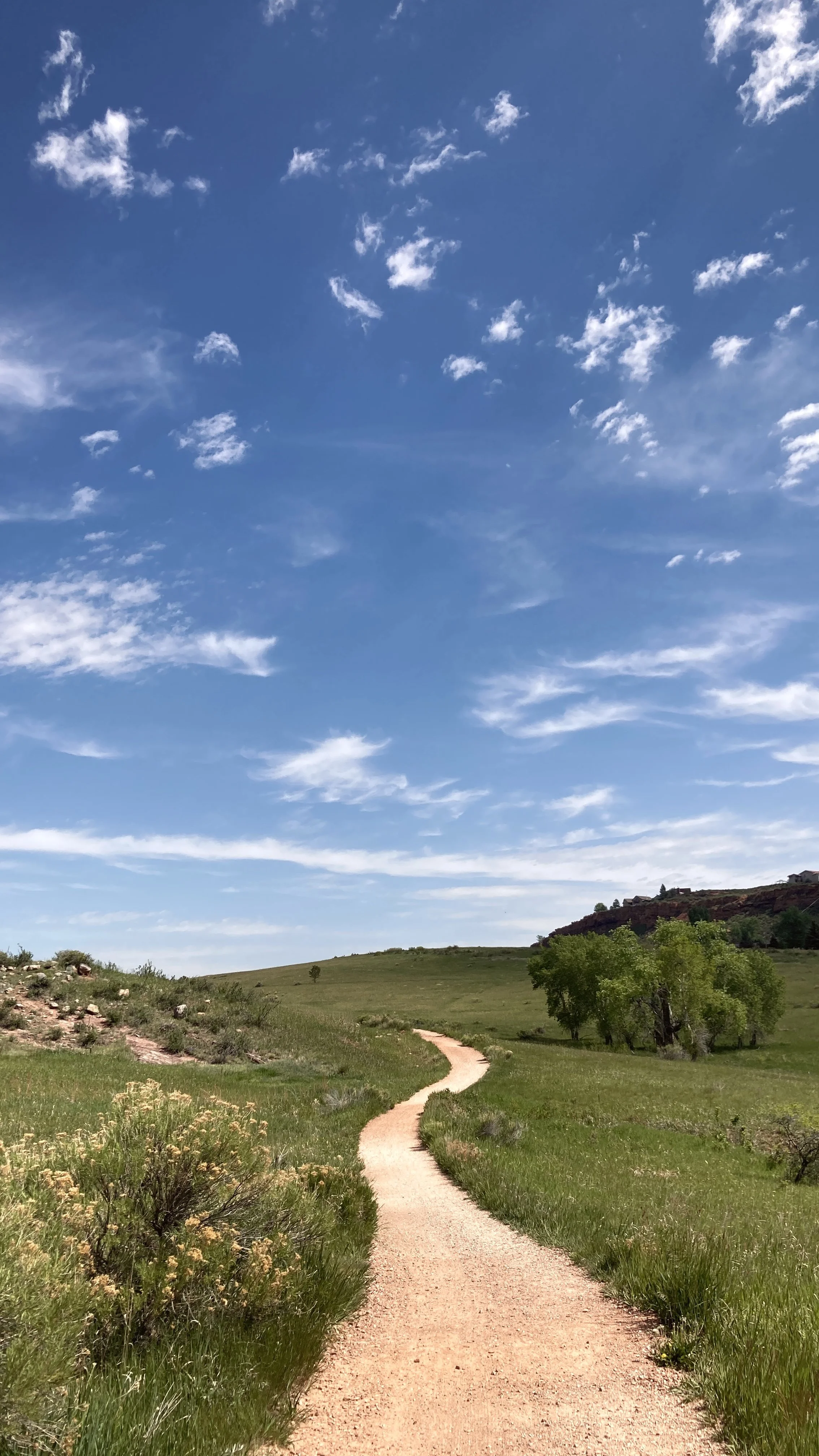 Bedrock Therapy Walk and Talk Fort Collins