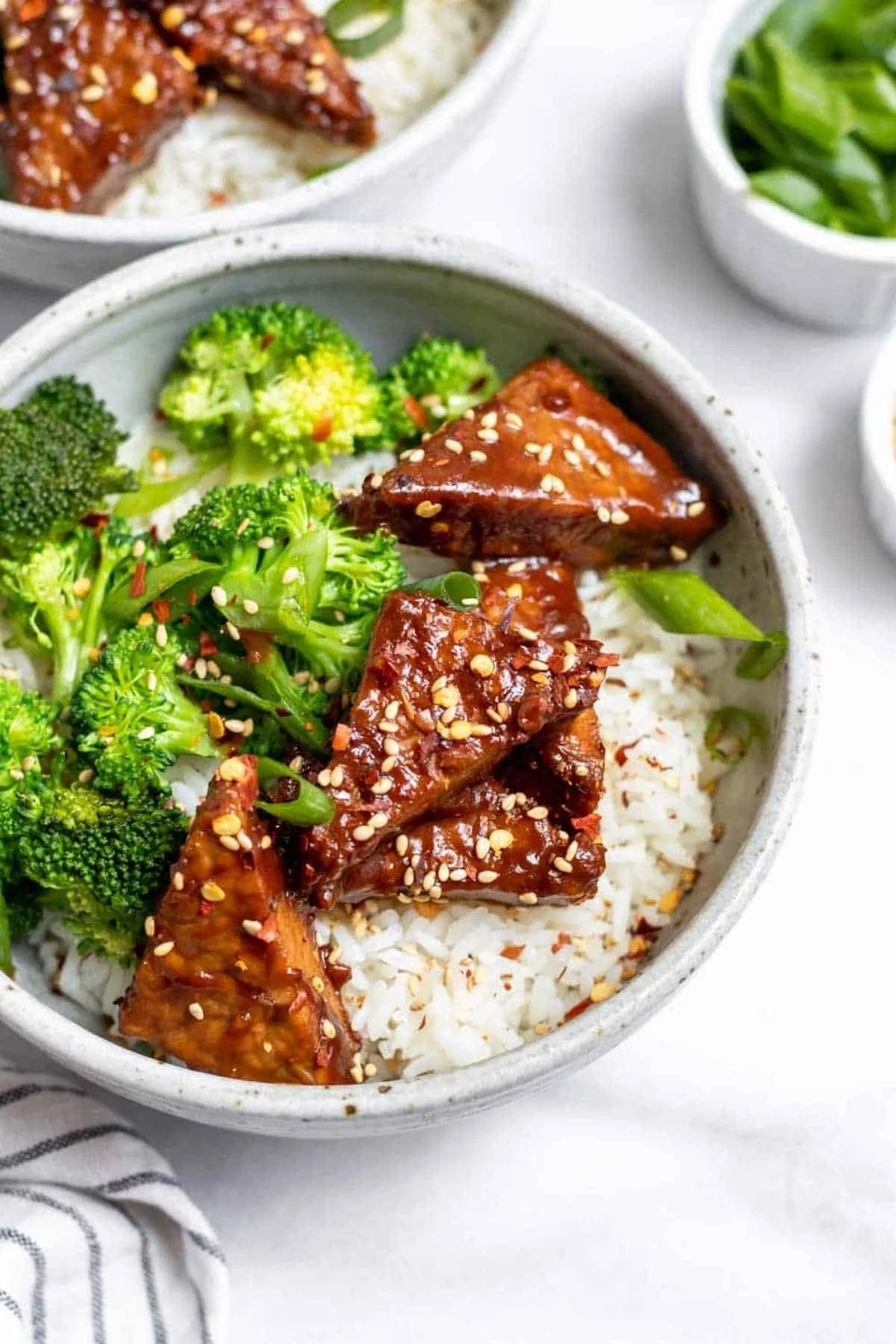 MARINATED SESAME PEANUT TEMPEH
