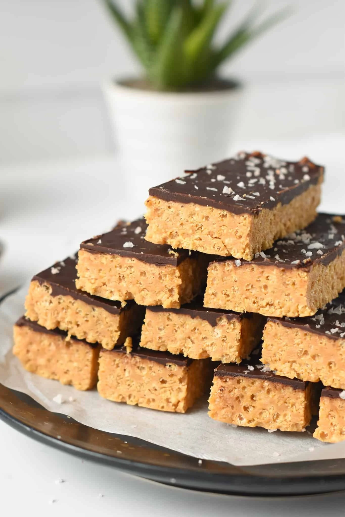 PUFFED CEREAL PROTEIN BARS
