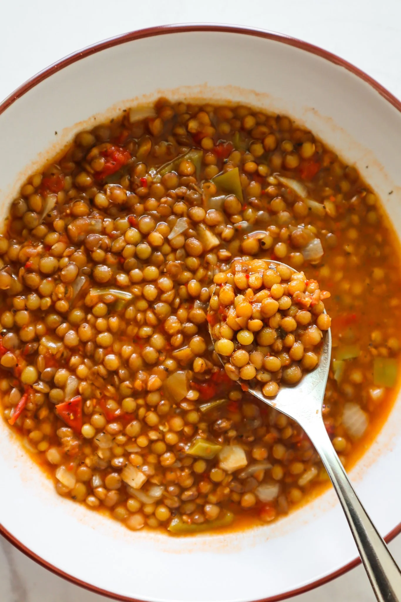EASY LENTIL SOUP FROM SCRATCH