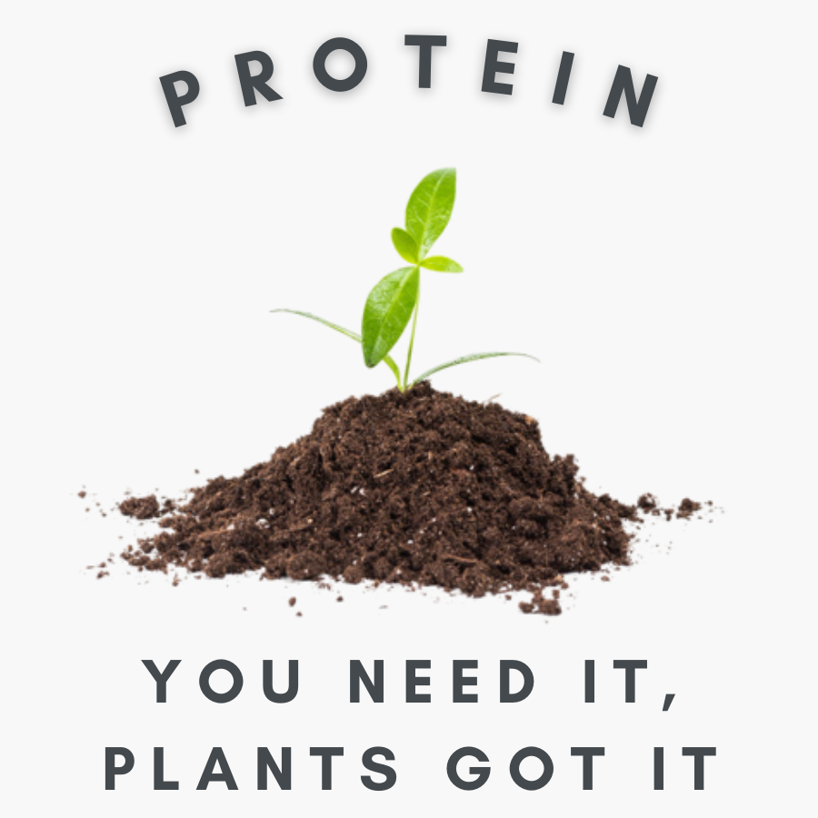 A small green plant growing from a pile of soil with the words 'PROTEIN' at the top and 'YOU NEED IT, PLANTS GOT IT' at the bottom.