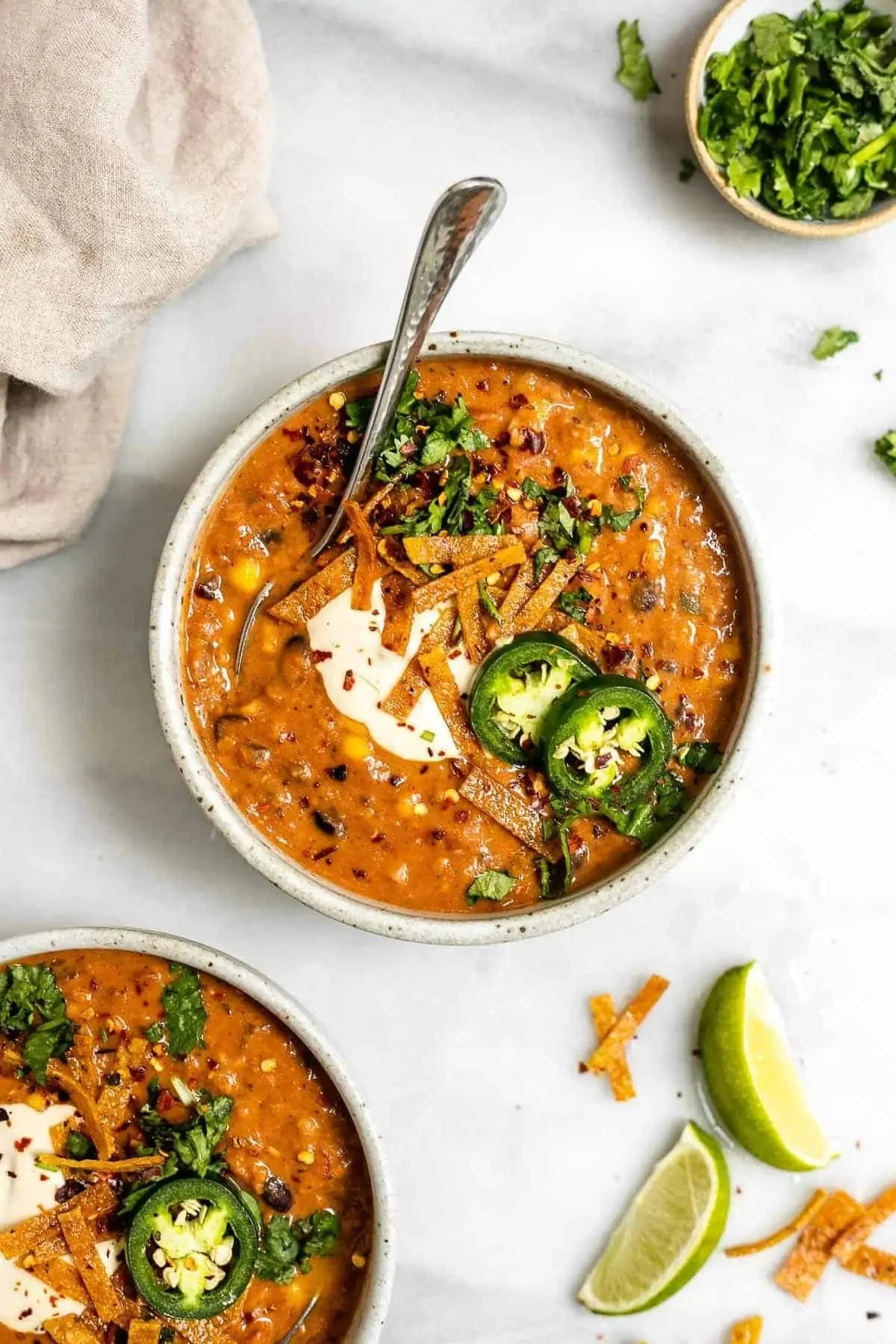 VEGAN LENTIL TORTILLA SOUP