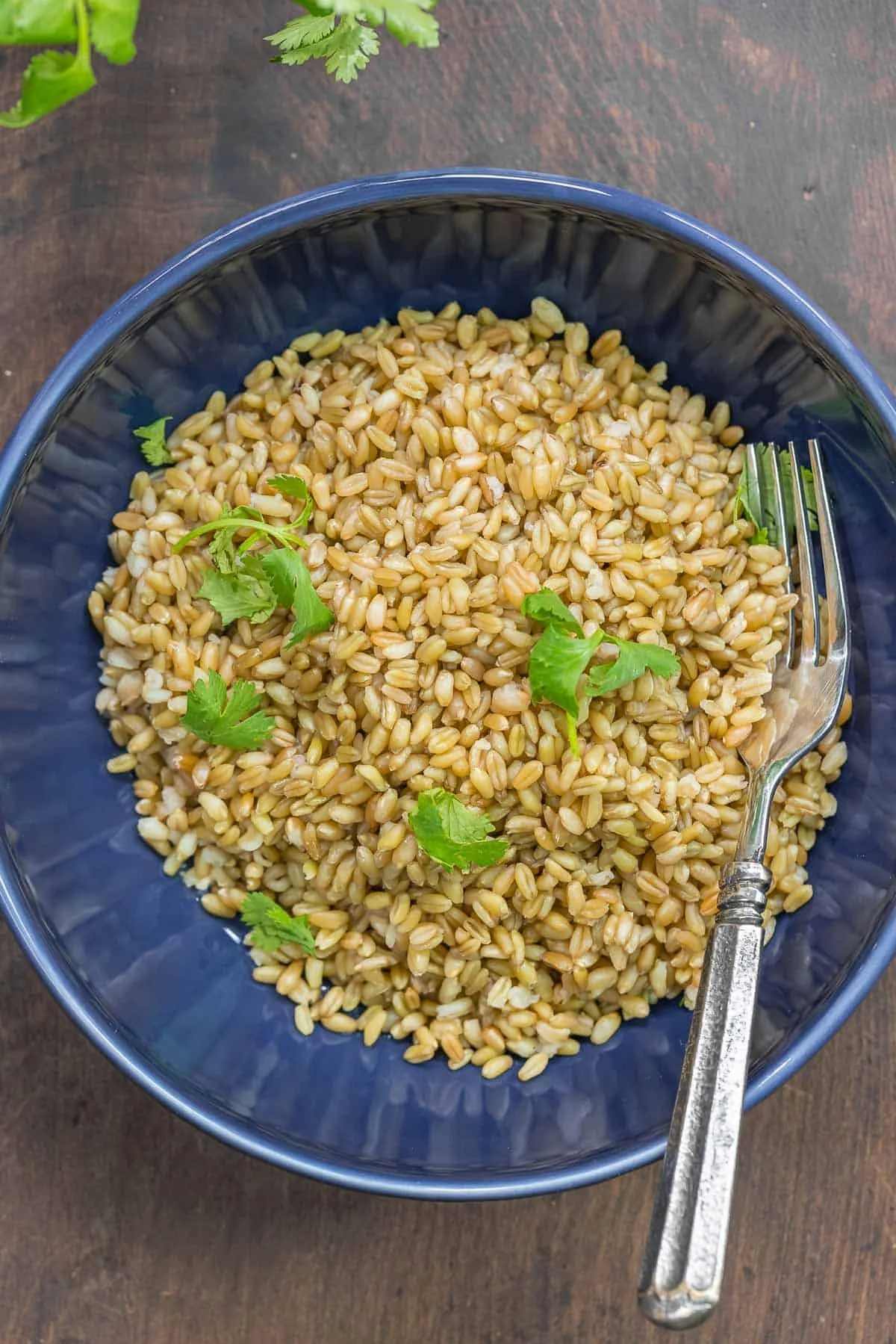 HOW TO COOK FREEKEH