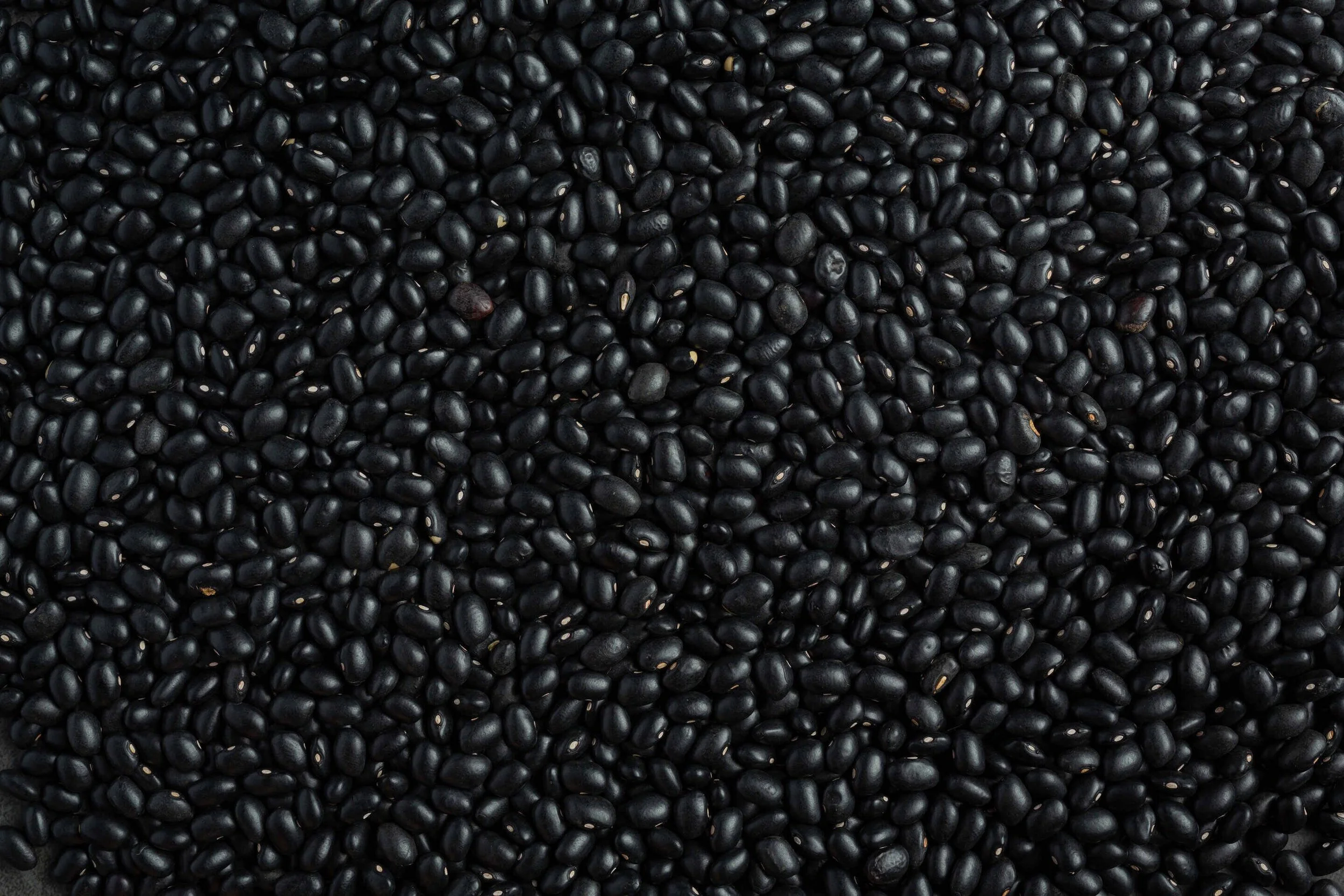 background image  black beans