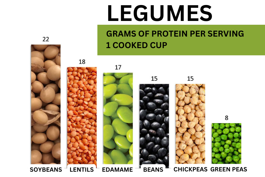 Bar chart showing grams of protein per serving of various cooked legumes: soybeans 22g, lentils 18g, edamame 17g, beans 15g, chickpeas 15g, green peas 8g.