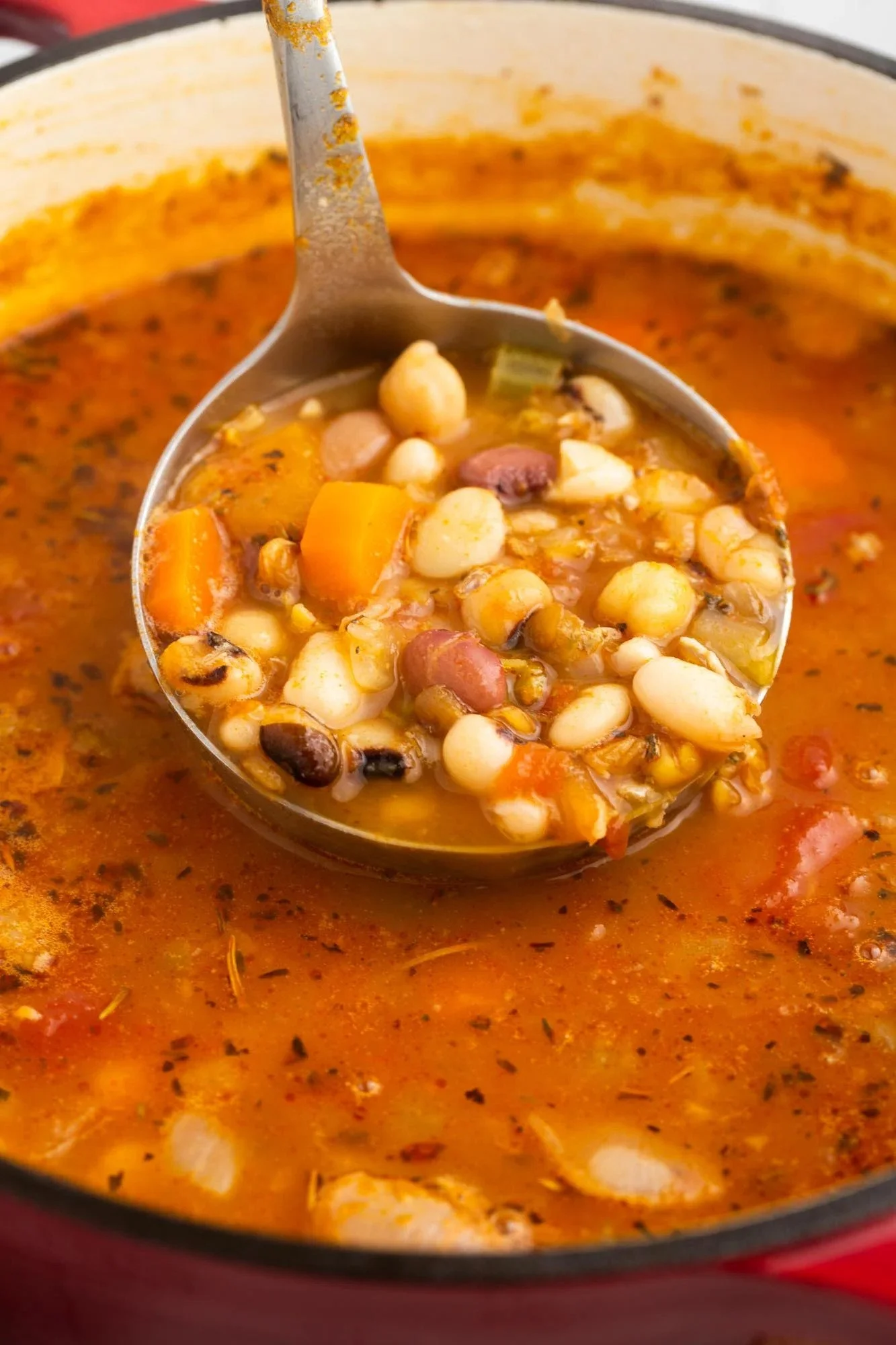 VEGETARIAN 15 BEAN SOUP