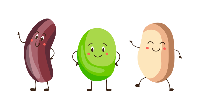 cartoon beans: kidney, lima and soy