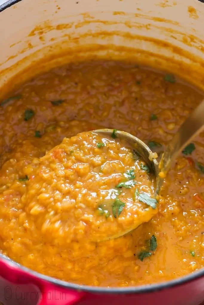 COCONUT RED LENTIL CURRY