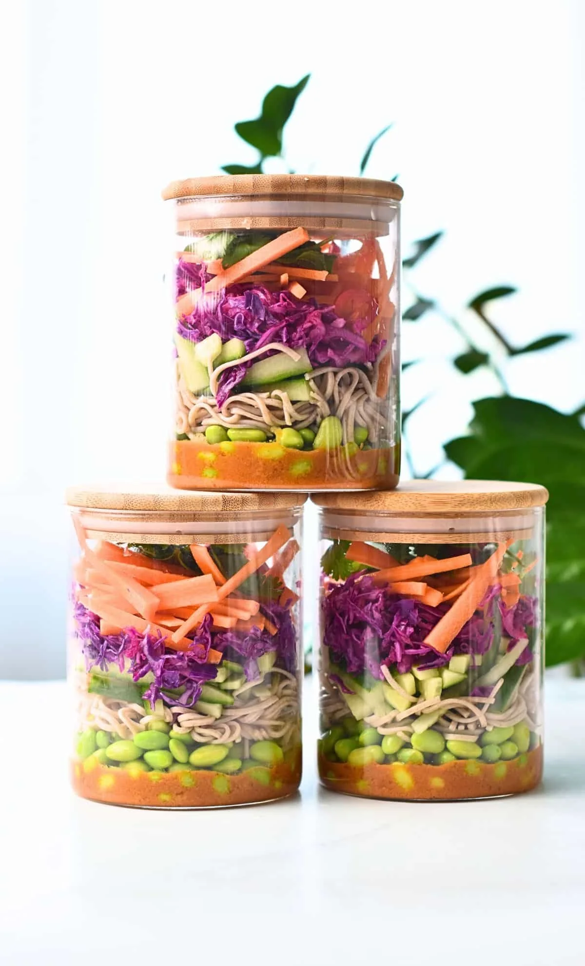 VEGAN SOBA NOODLE SALAD
