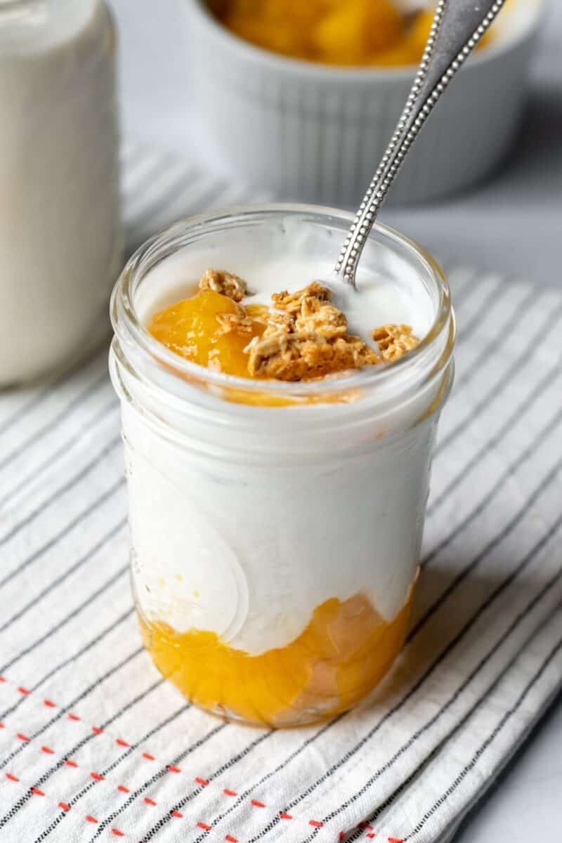 CASHEW YOGURT