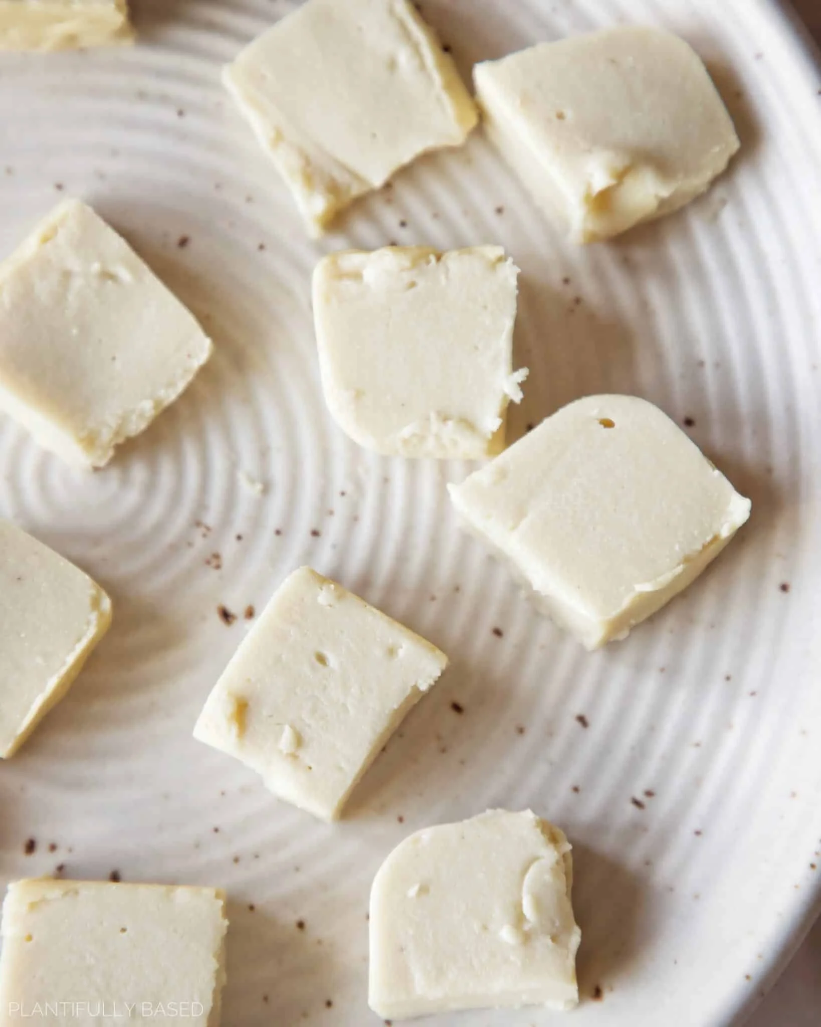VEGAN CREAMY CASHEW MOZZARELLA