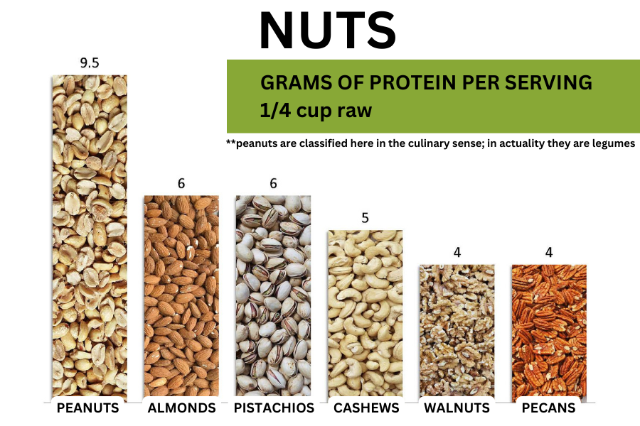 Bar chart displaying grams of protein per 1/4 cup raw nuts, including peanuts, almonds, pistachios, cashews, walnuts, and pecans with their respective values.