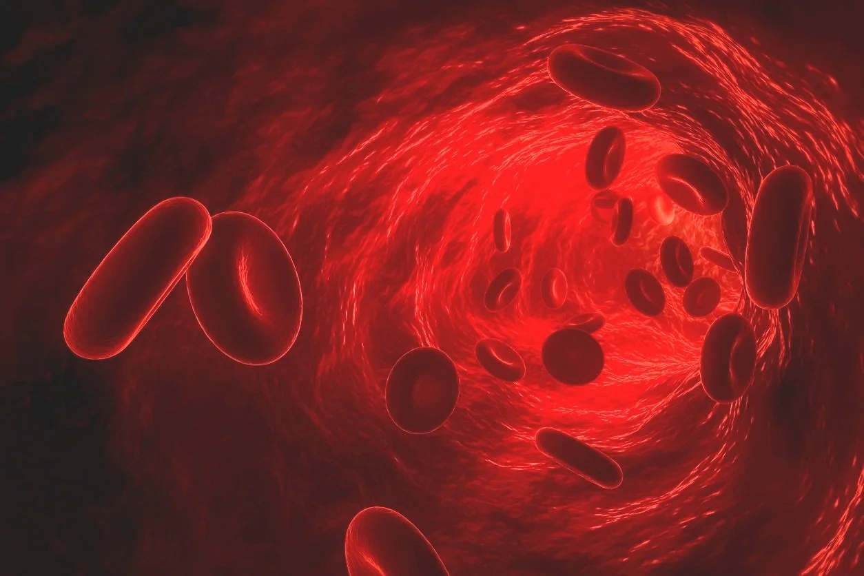 3D image red blood cells in blood vessel