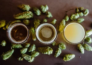 Out of the Barrel Taproom photo