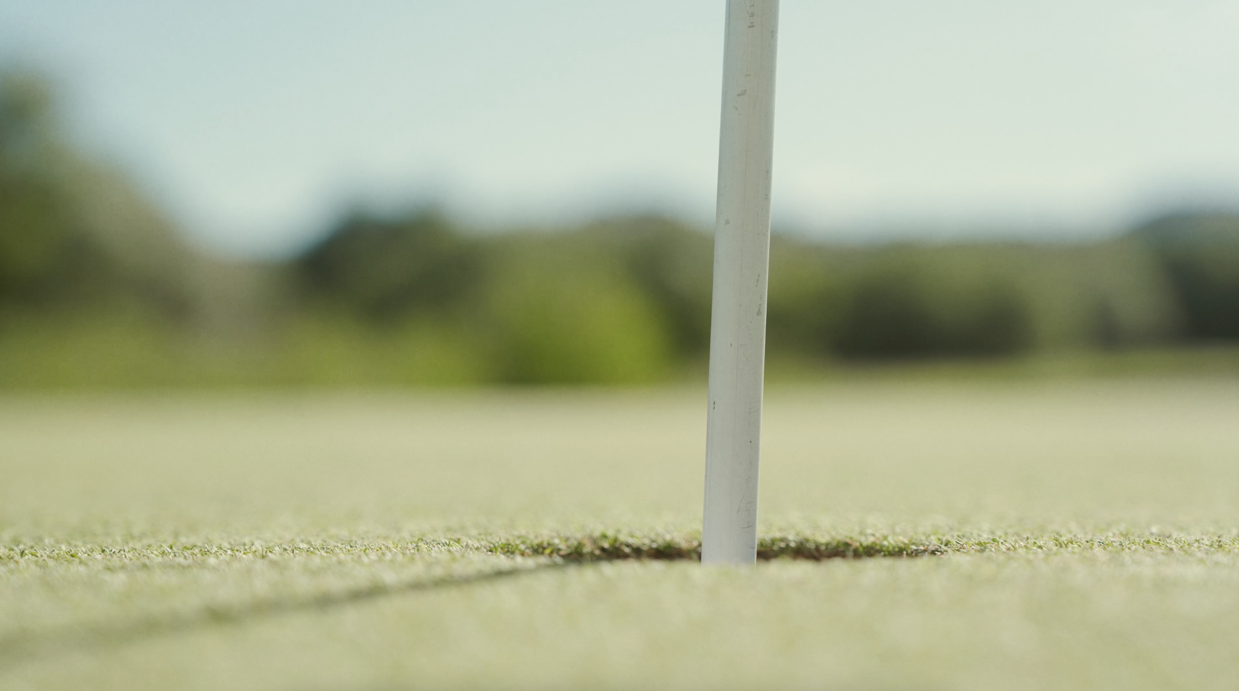 Screenshot 2023-08-31 at 1.16.15 PM.png