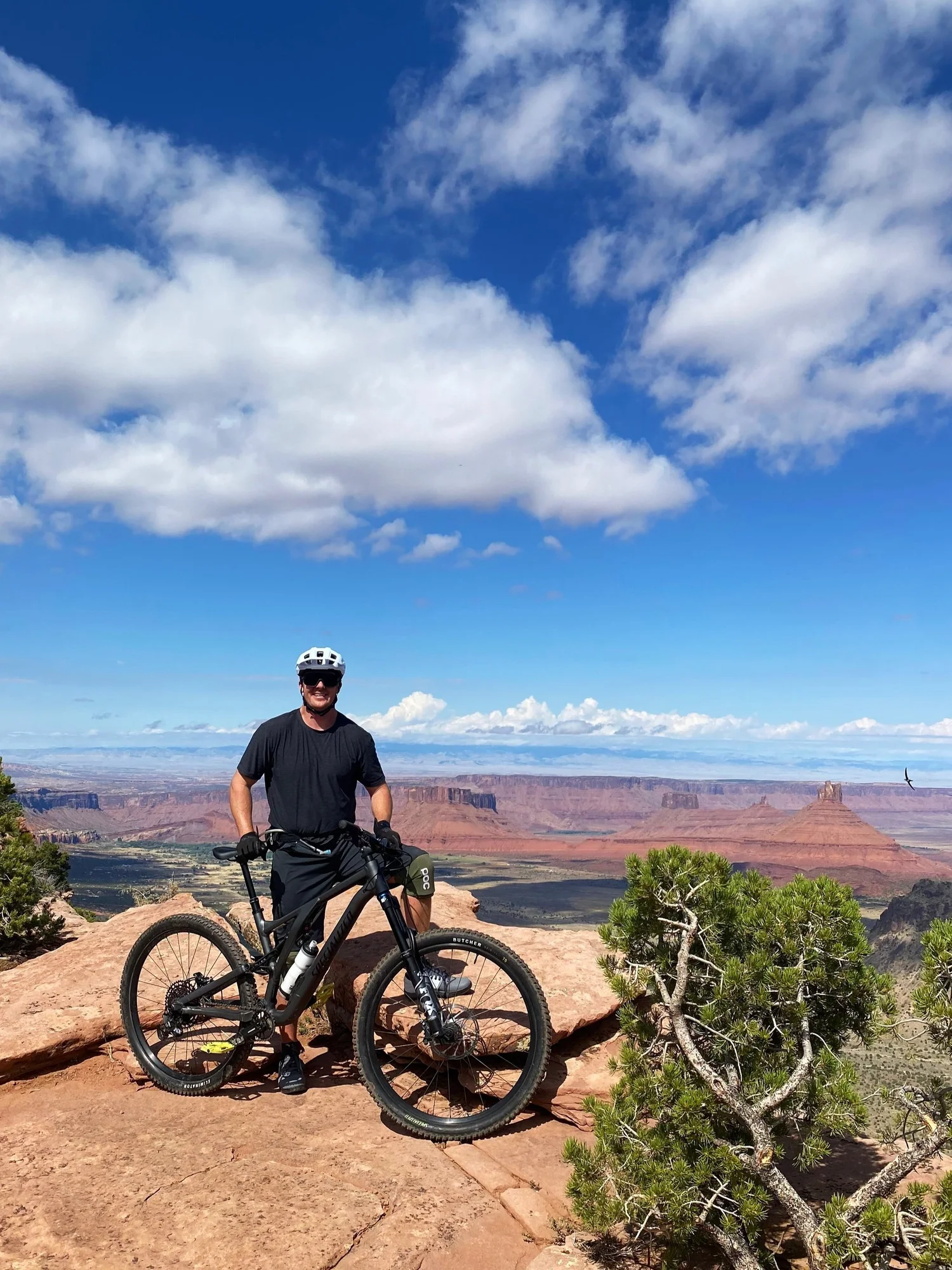 Stein Chiropractic patient mountain biking on a San Diego trail